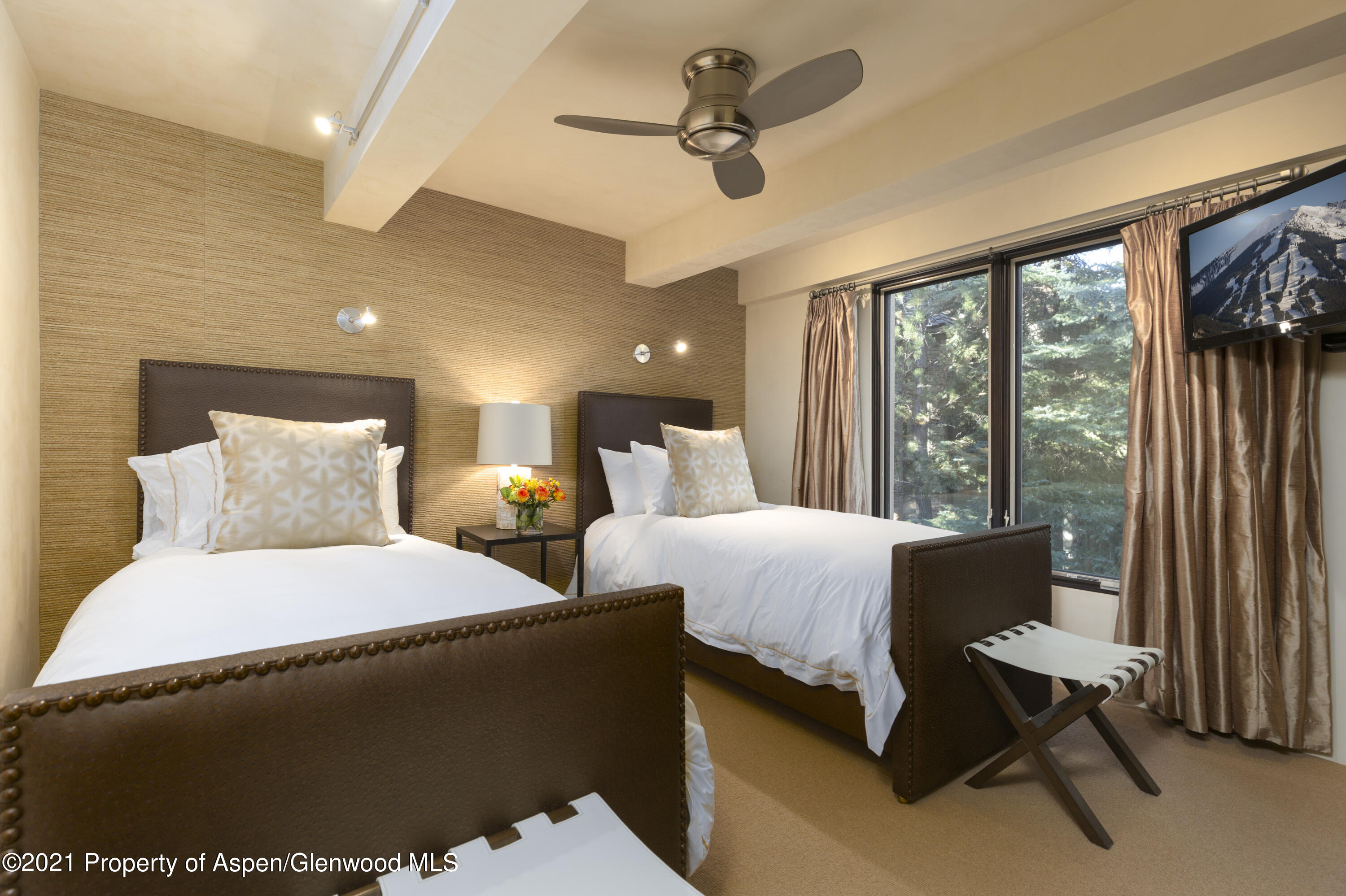 1034 E Cooper Avenue Aspen CO 81611