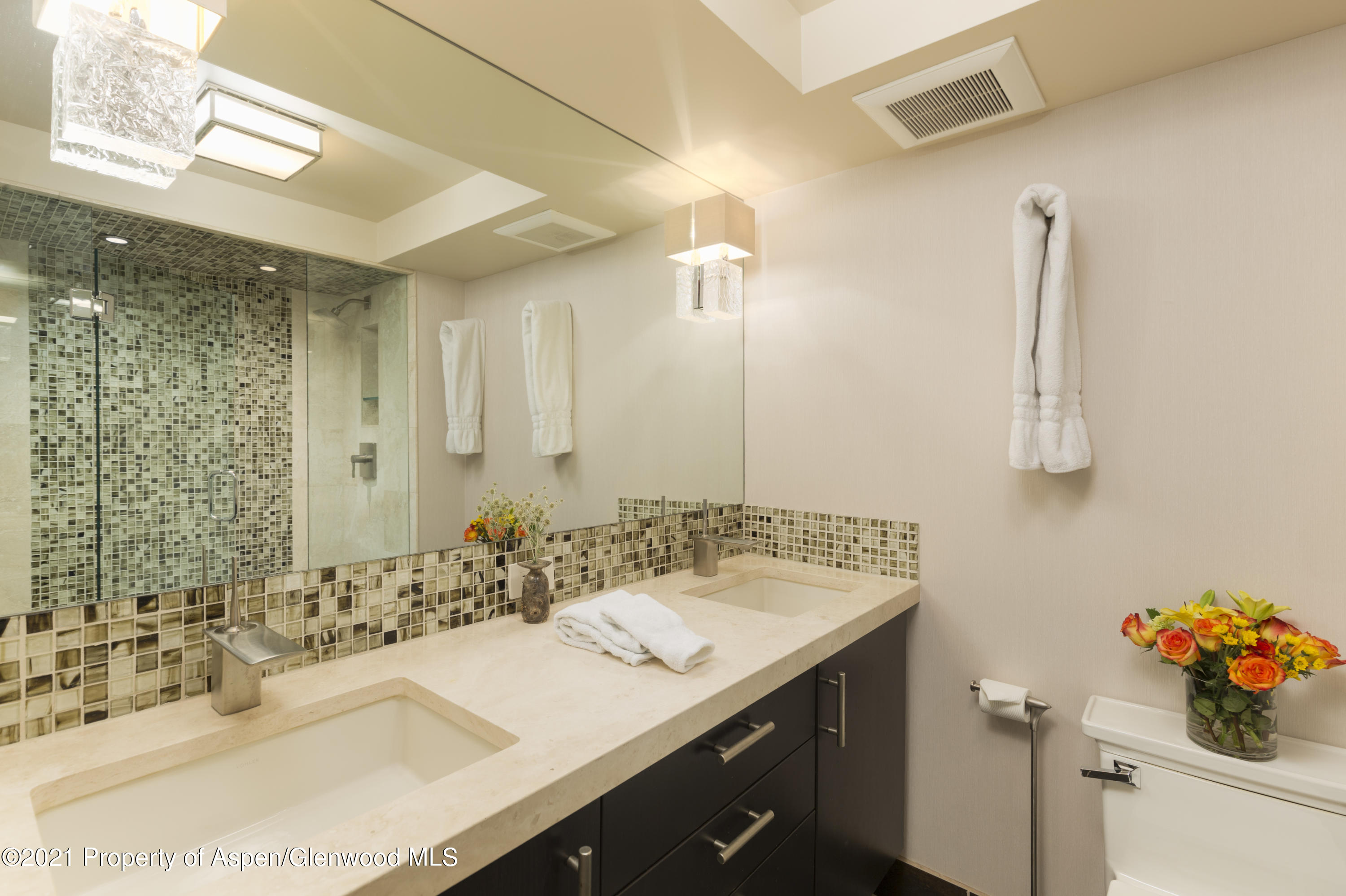 1034 E Cooper Avenue Aspen CO 81611