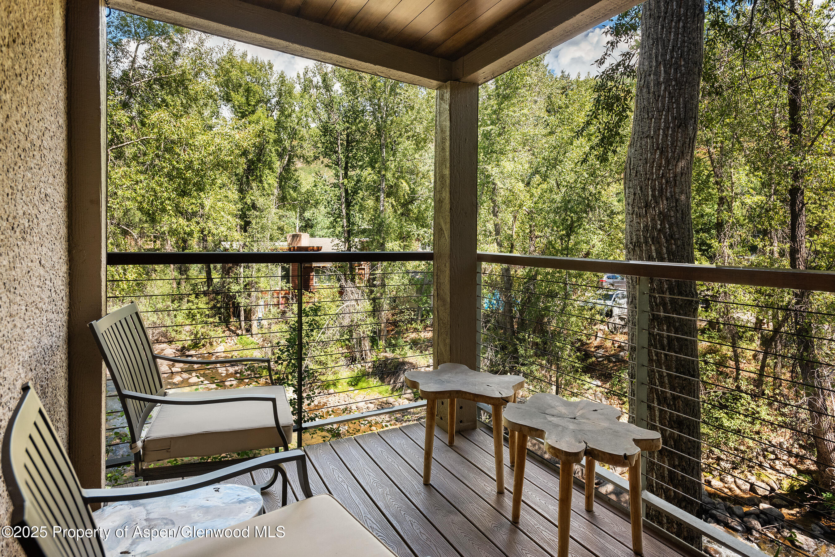 1034 E Cooper Avenue Aspen CO 81611