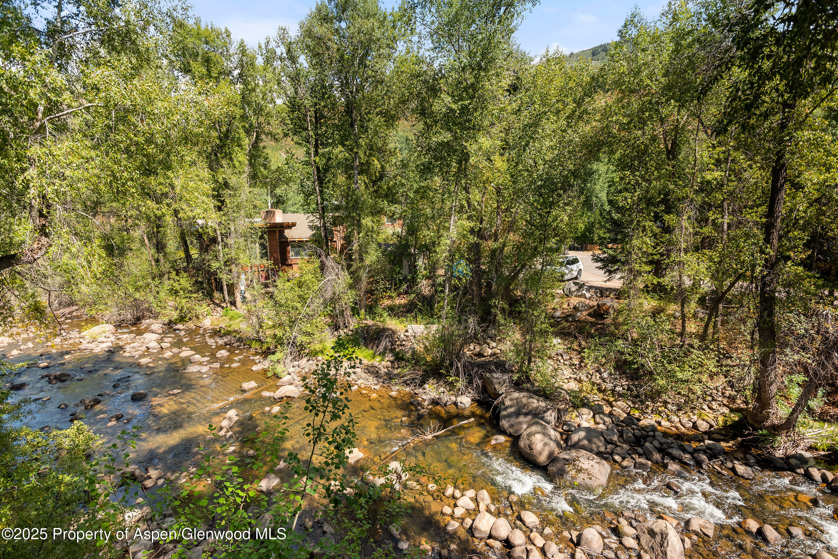 1034 E Cooper Avenue Aspen CO 81611