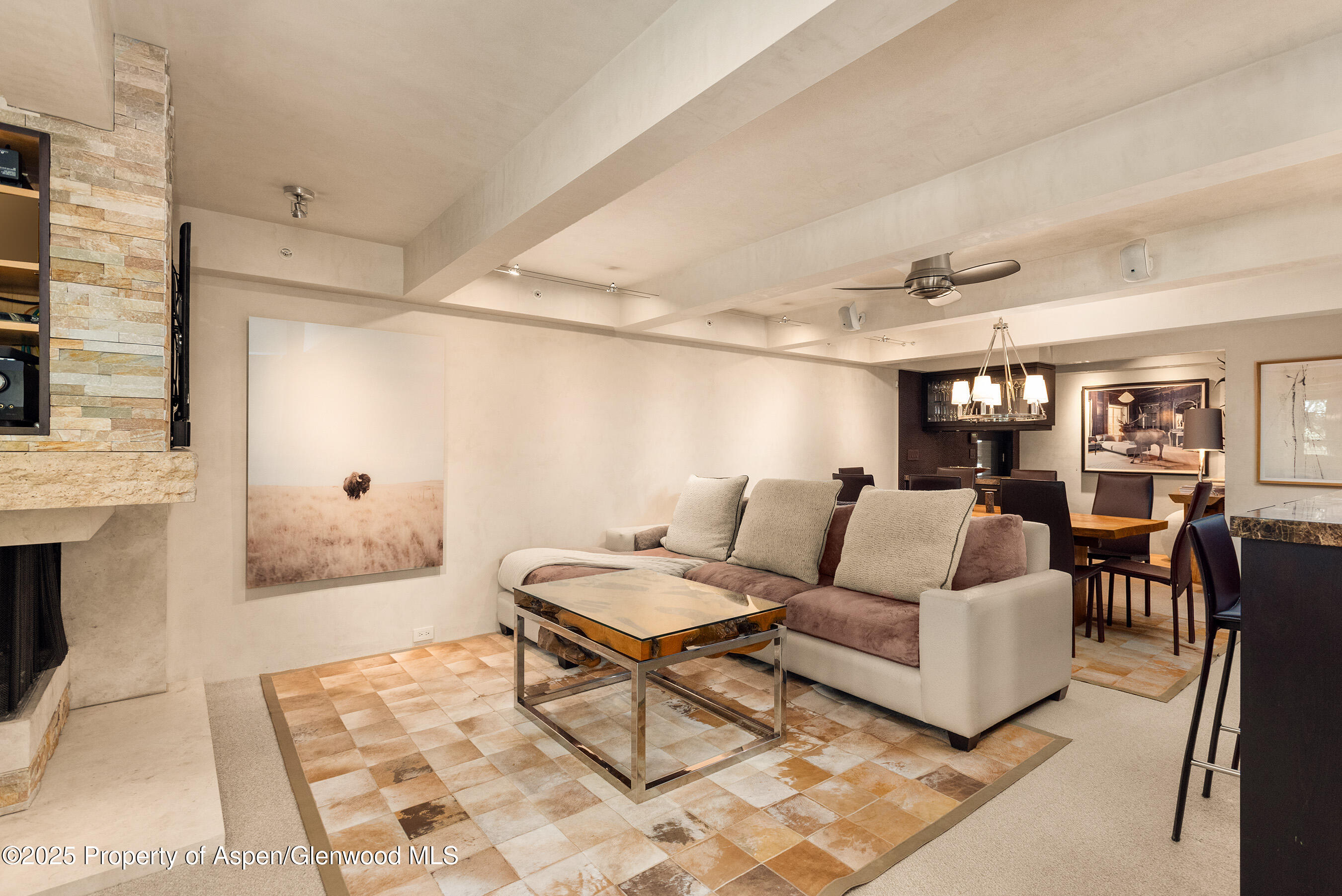 1034 E Cooper Avenue Aspen CO 81611