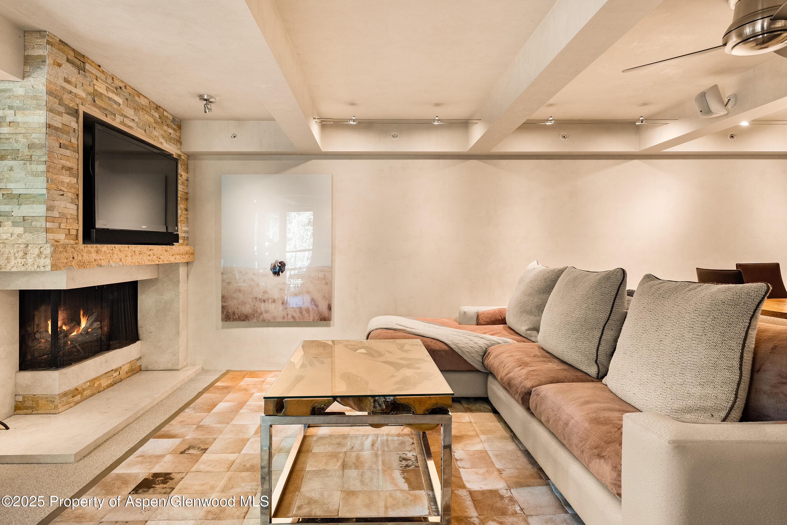 1034 E Cooper Avenue Aspen CO 81611