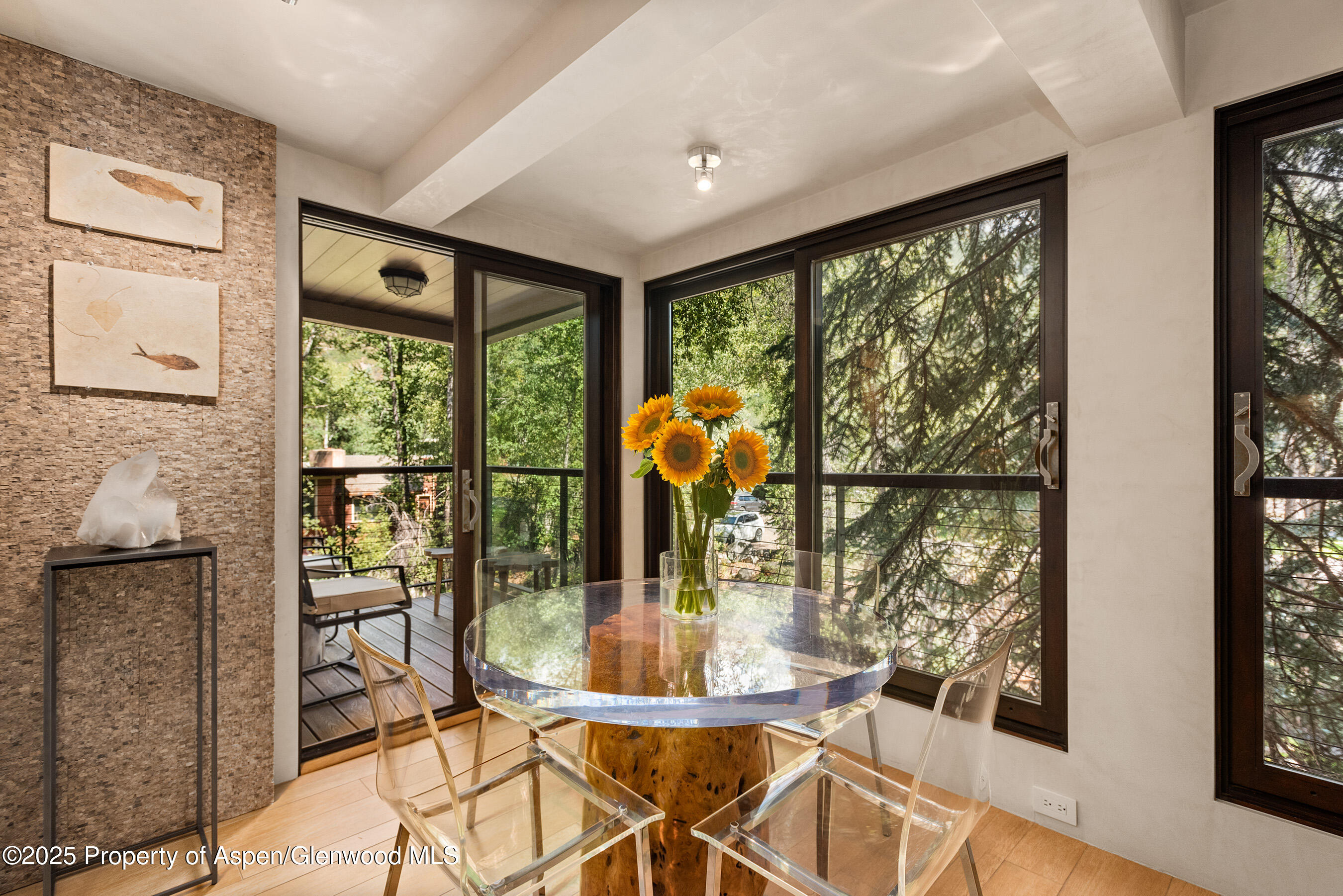 1034 E Cooper Avenue Aspen CO 81611