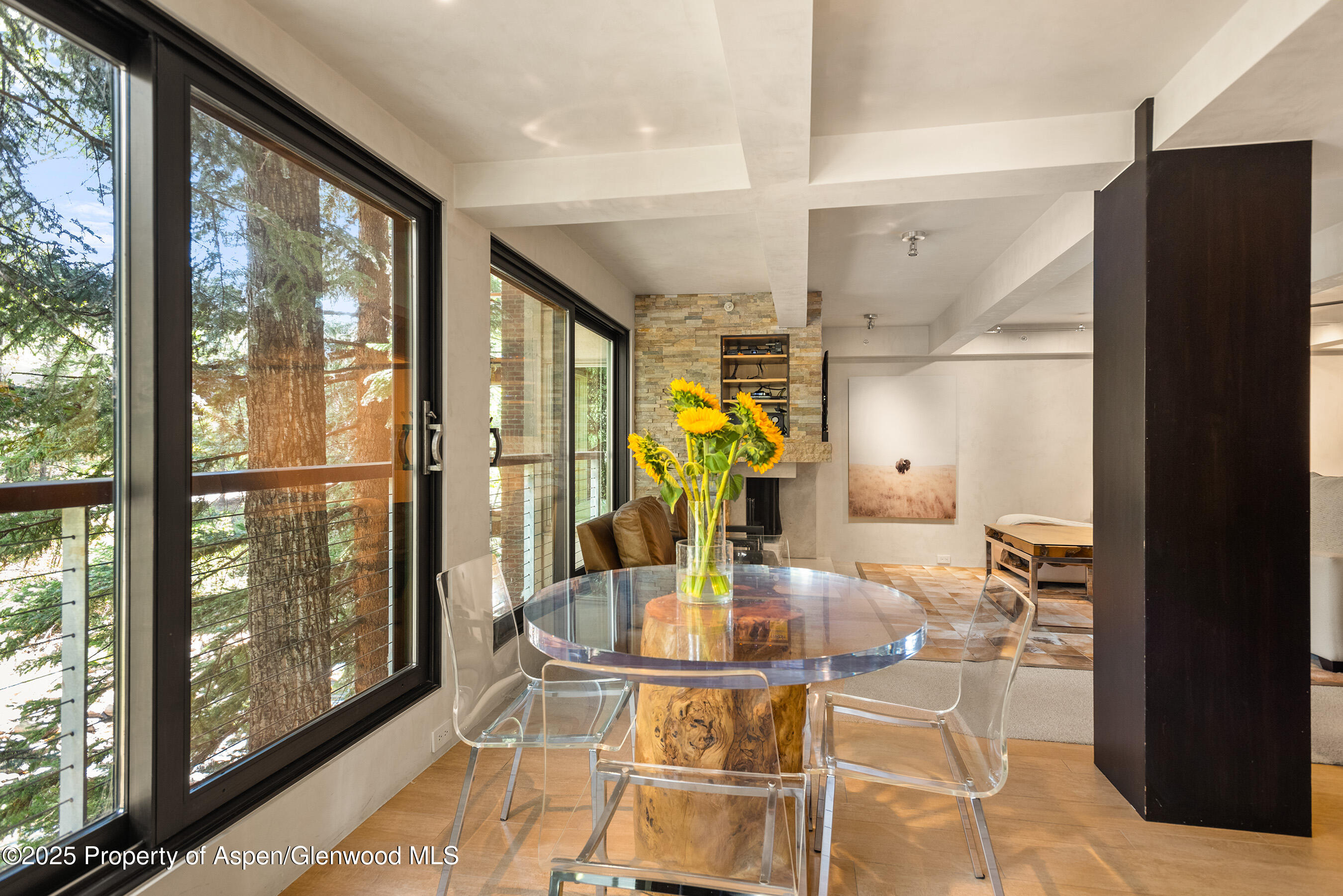 1034 E Cooper Avenue Aspen CO 81611