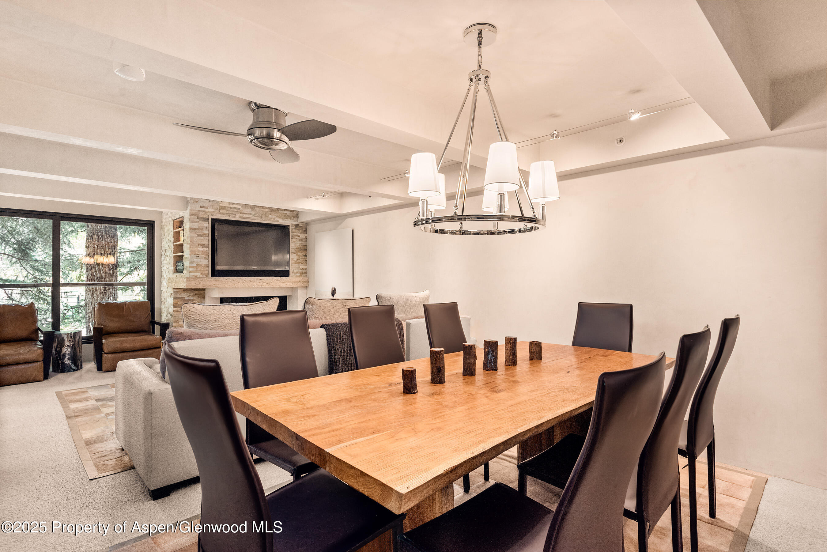 1034 E Cooper Avenue Aspen CO 81611