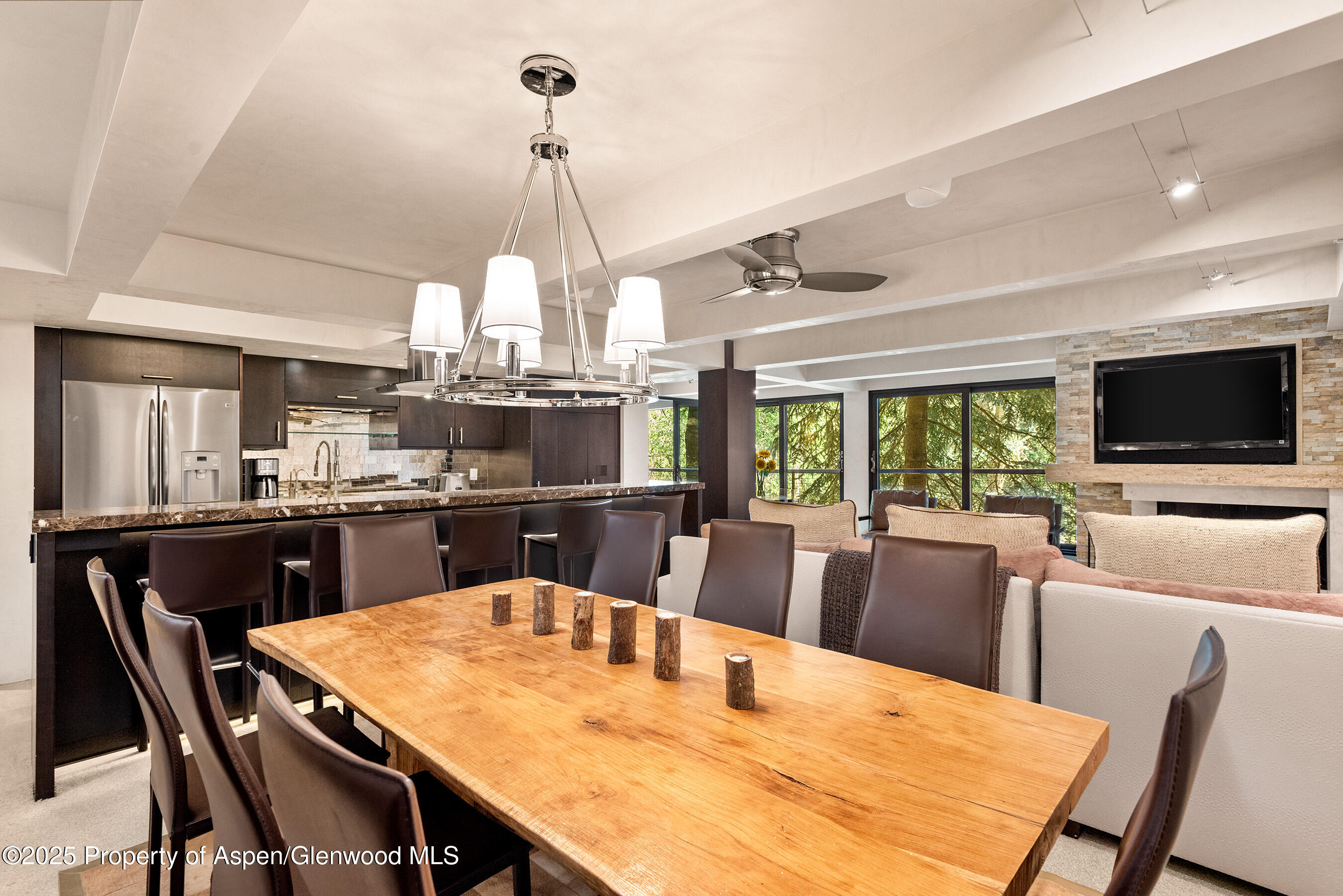 1034 E Cooper Avenue Aspen CO 81611