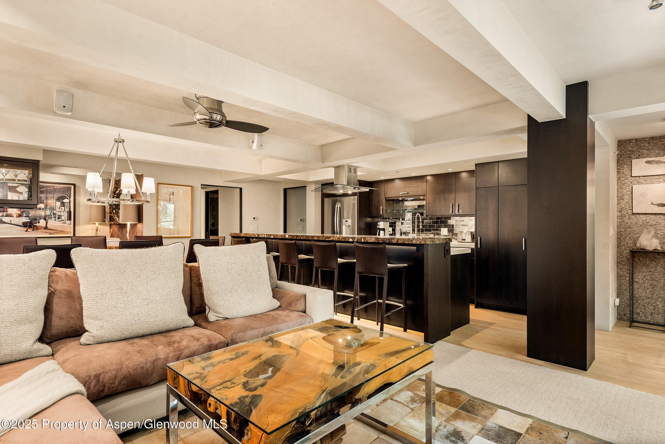 1034 E Cooper Avenue Aspen CO 81611