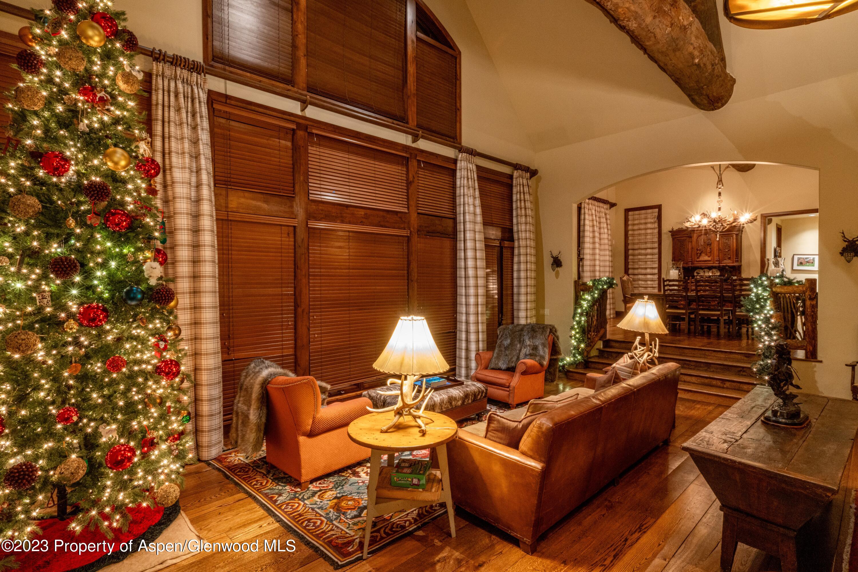 800 S Hayden Aspen CO 81611