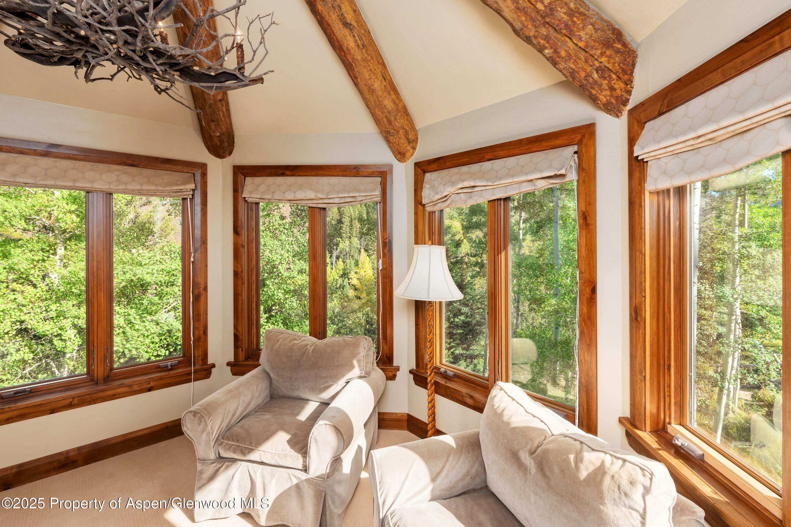 800 S Hayden Aspen CO 81611