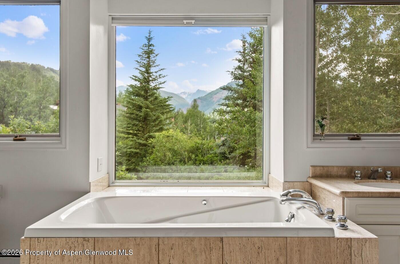 209 Larkspur Lane Aspen CO 81611