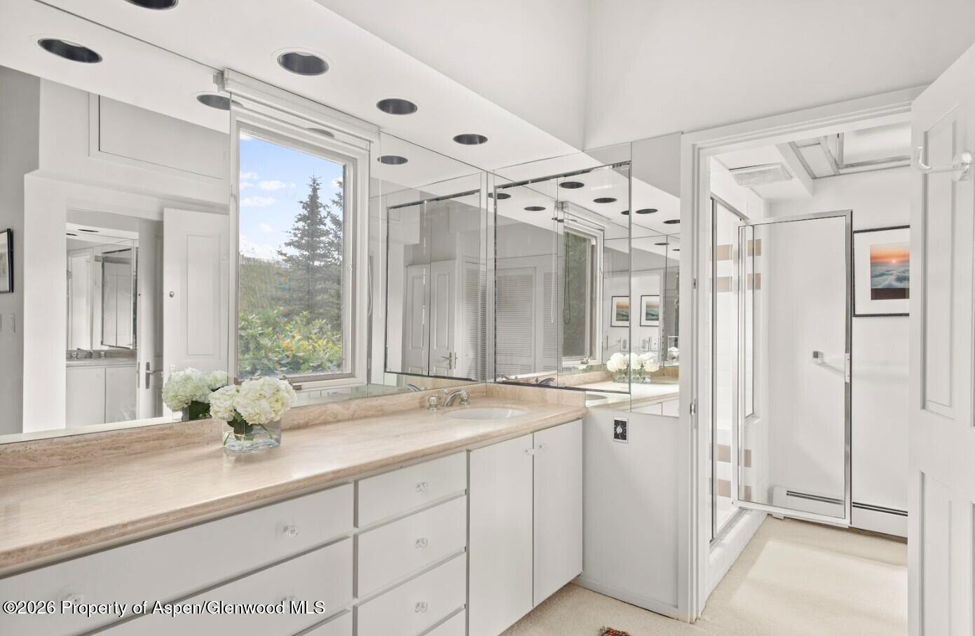 209 Larkspur Lane Aspen CO 81611
