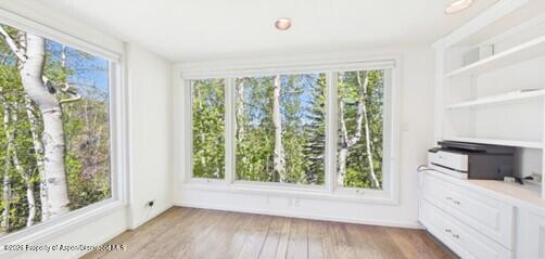 209 Larkspur Lane Aspen CO 81611