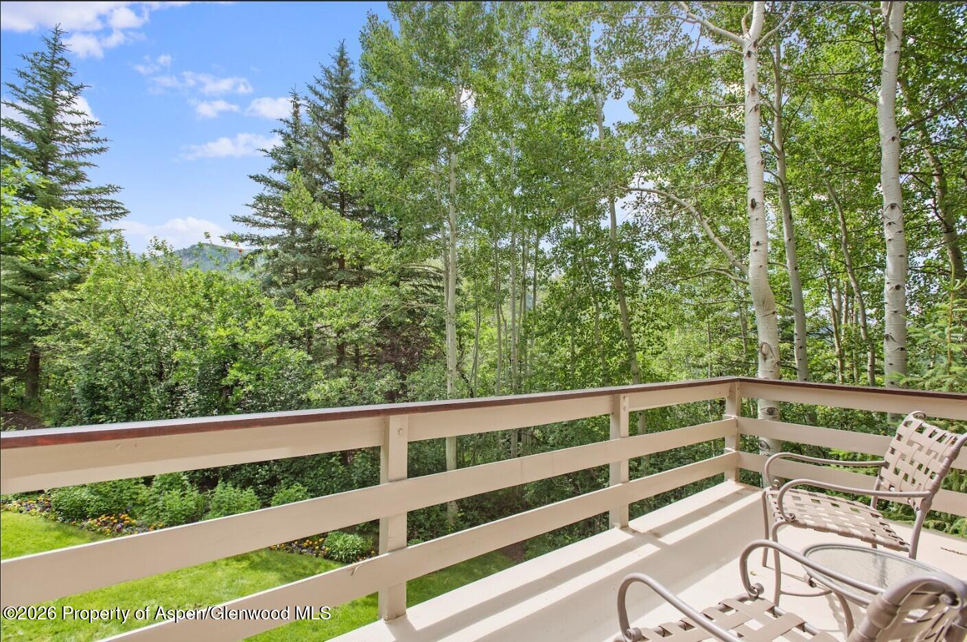 209 Larkspur Lane Aspen CO 81611