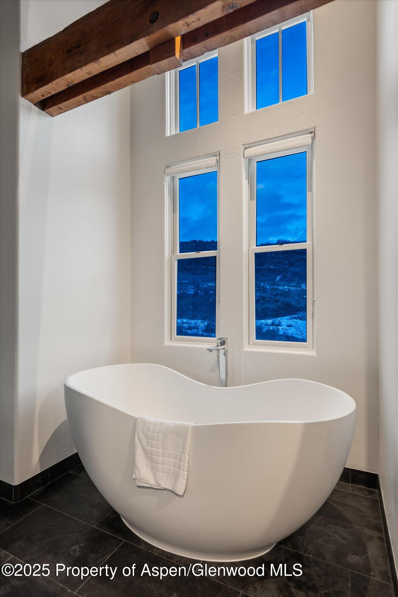 124 Trail Rider Lane Snowmass Village CO 81615