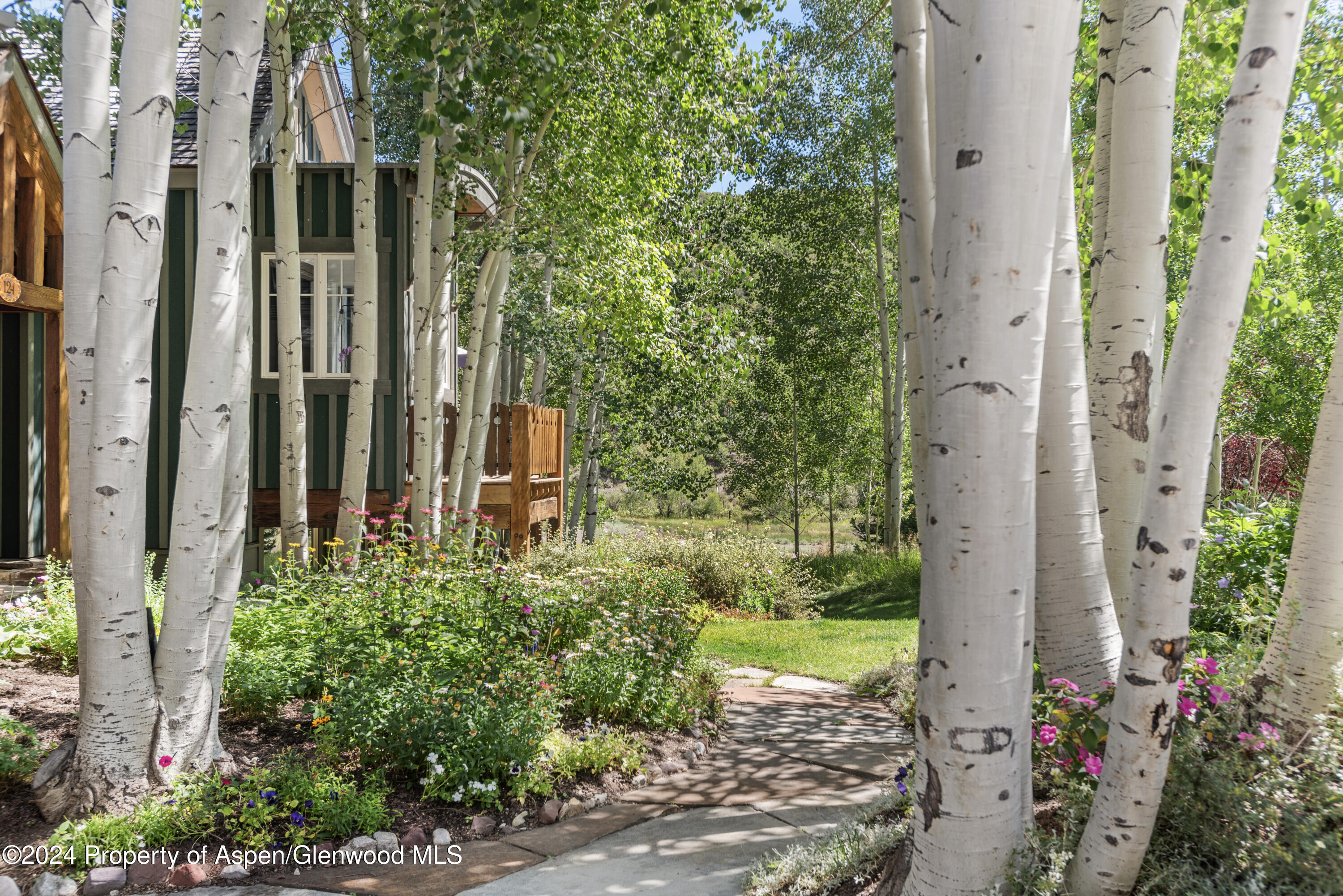 124 Trail Rider Lane Snowmass Village CO 81615
