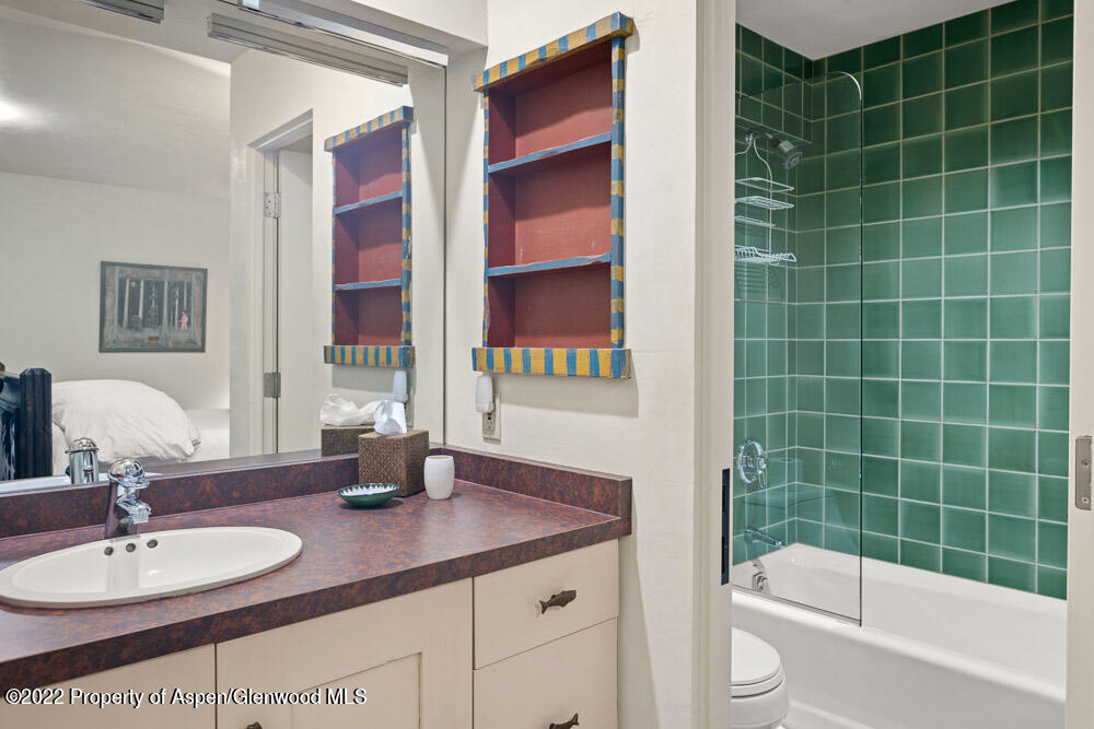 111 Neale Avenue Aspen CO 81611