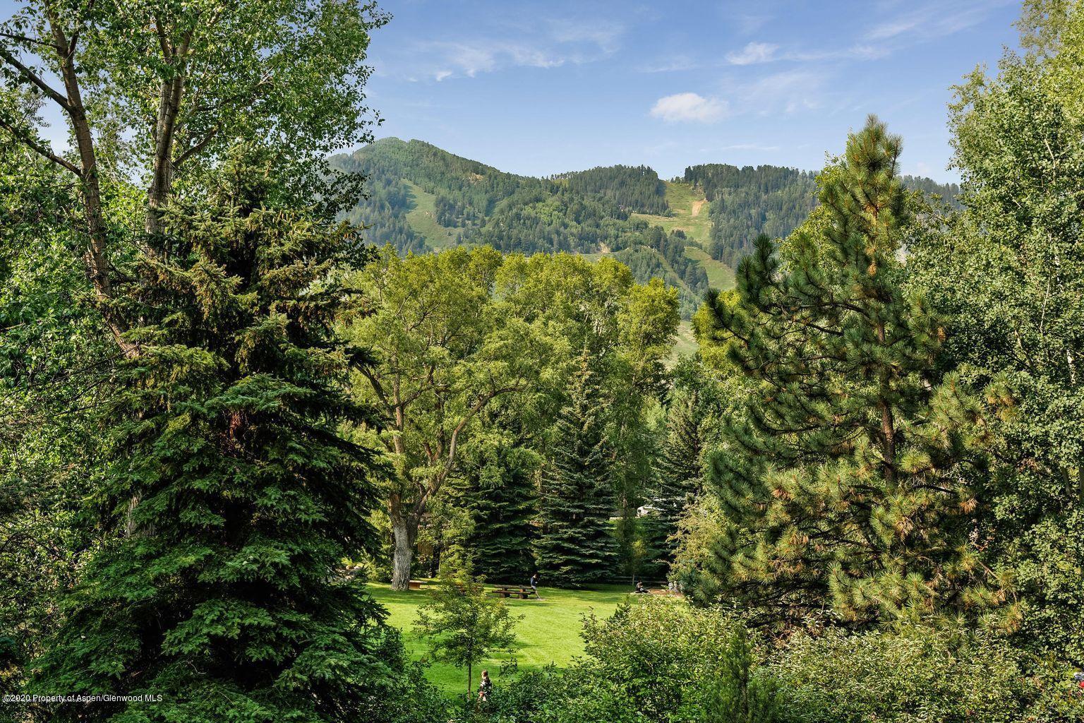 111 Neale Avenue Aspen CO 81611