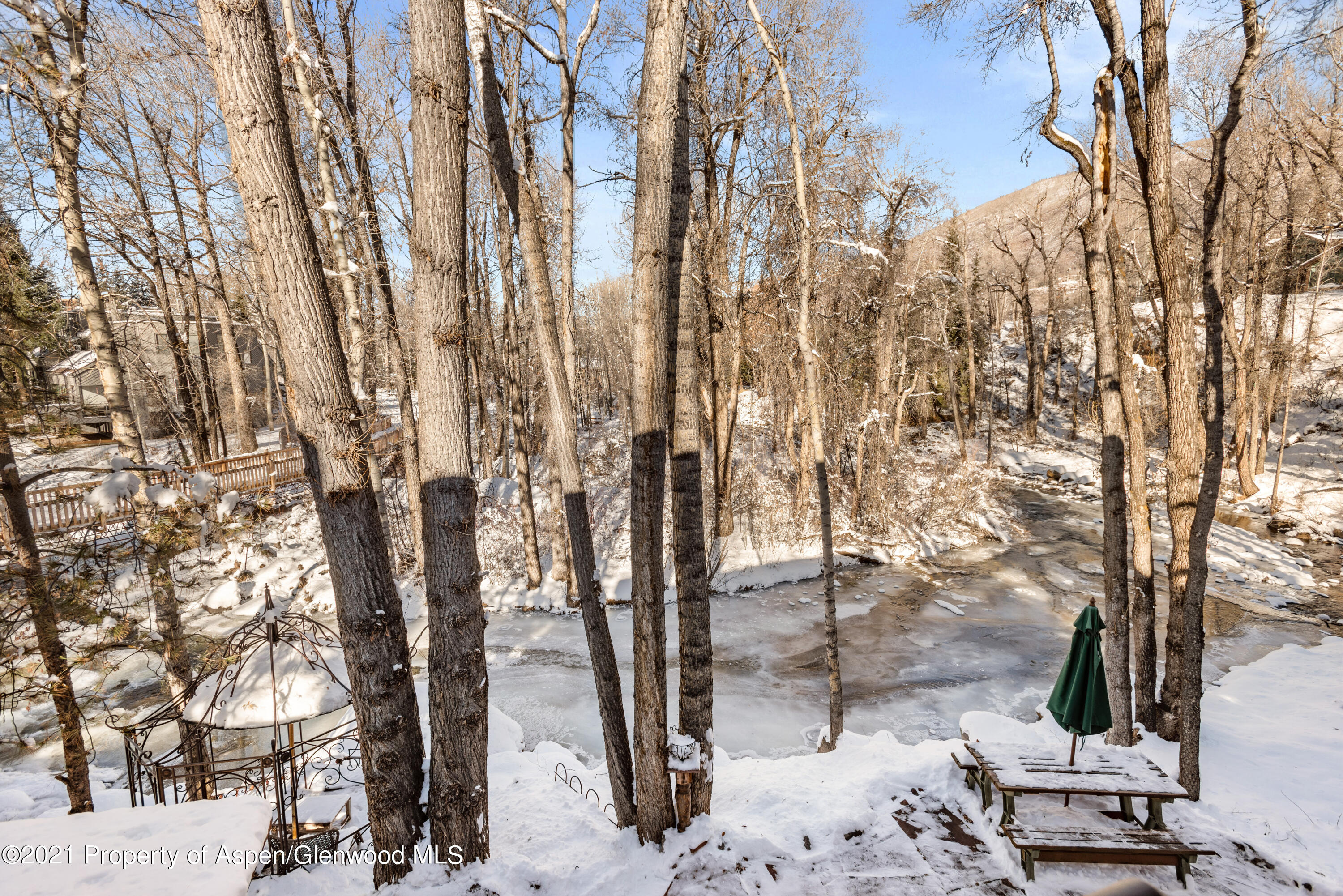 111 Neale Avenue Aspen CO 81611