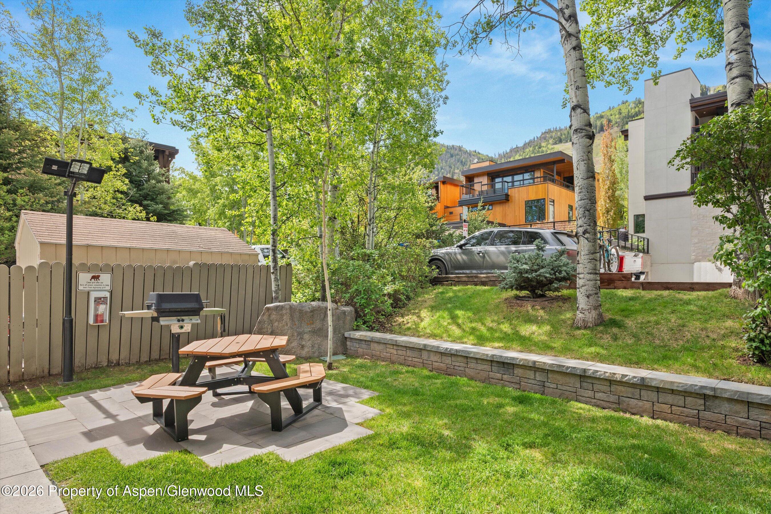 100 E Dean Street Aspen CO 81611