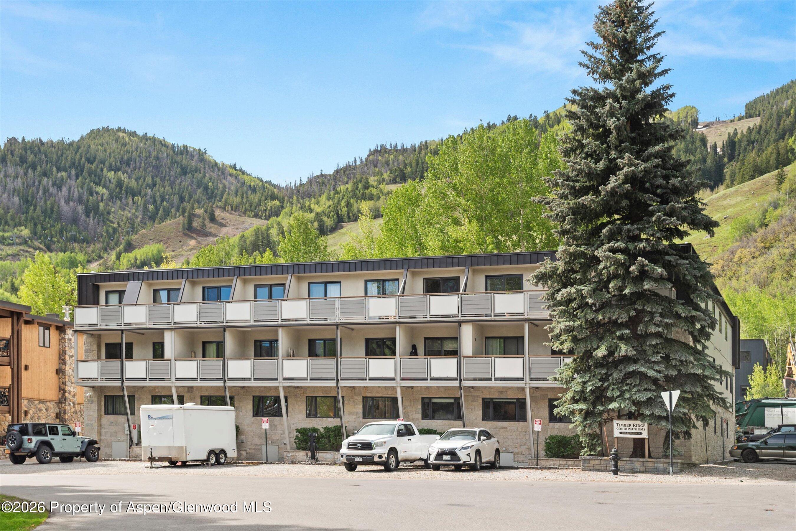 100 E Dean Street Aspen CO 81611