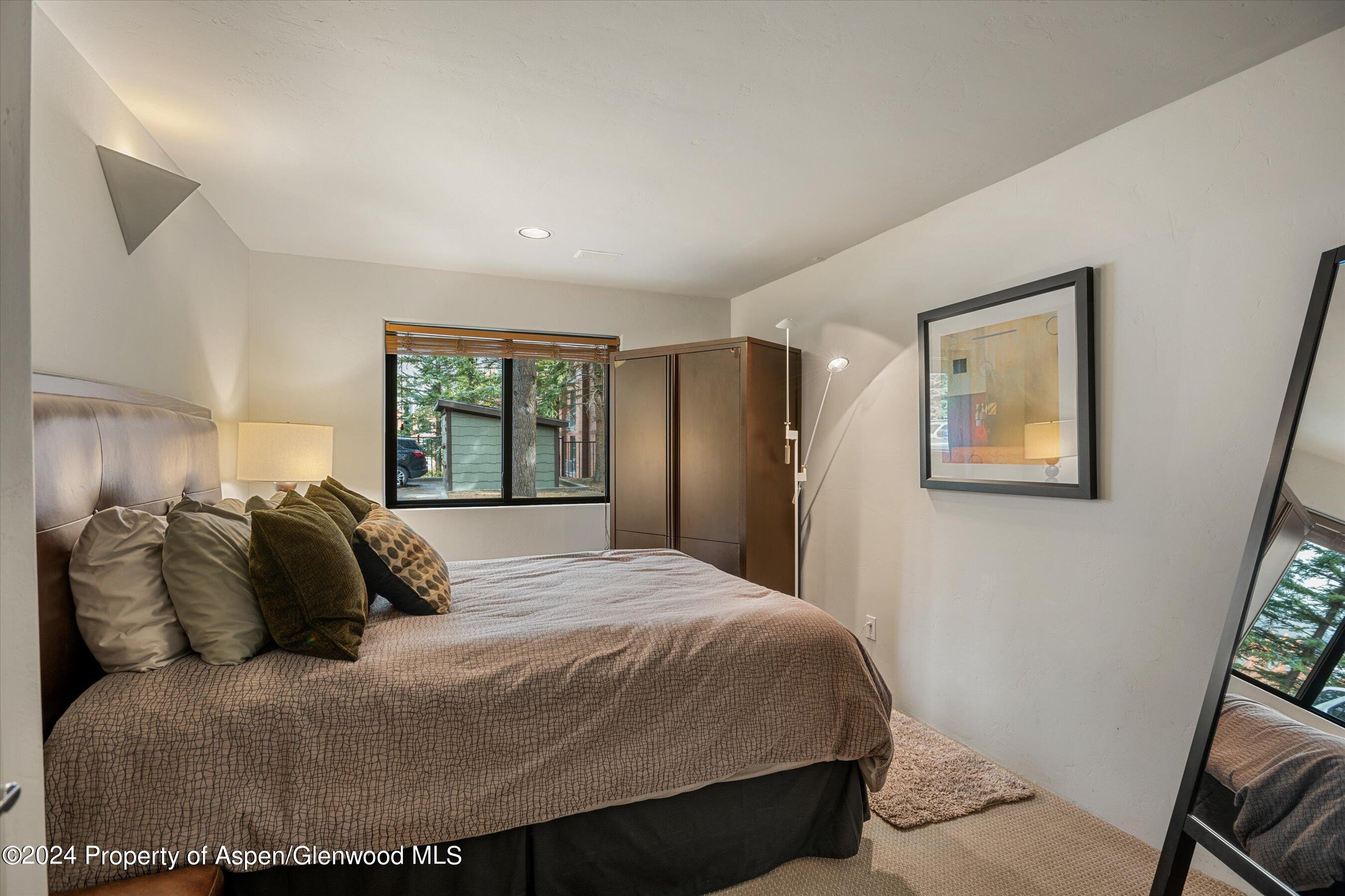 650 S Monarch Street Aspen CO 81611