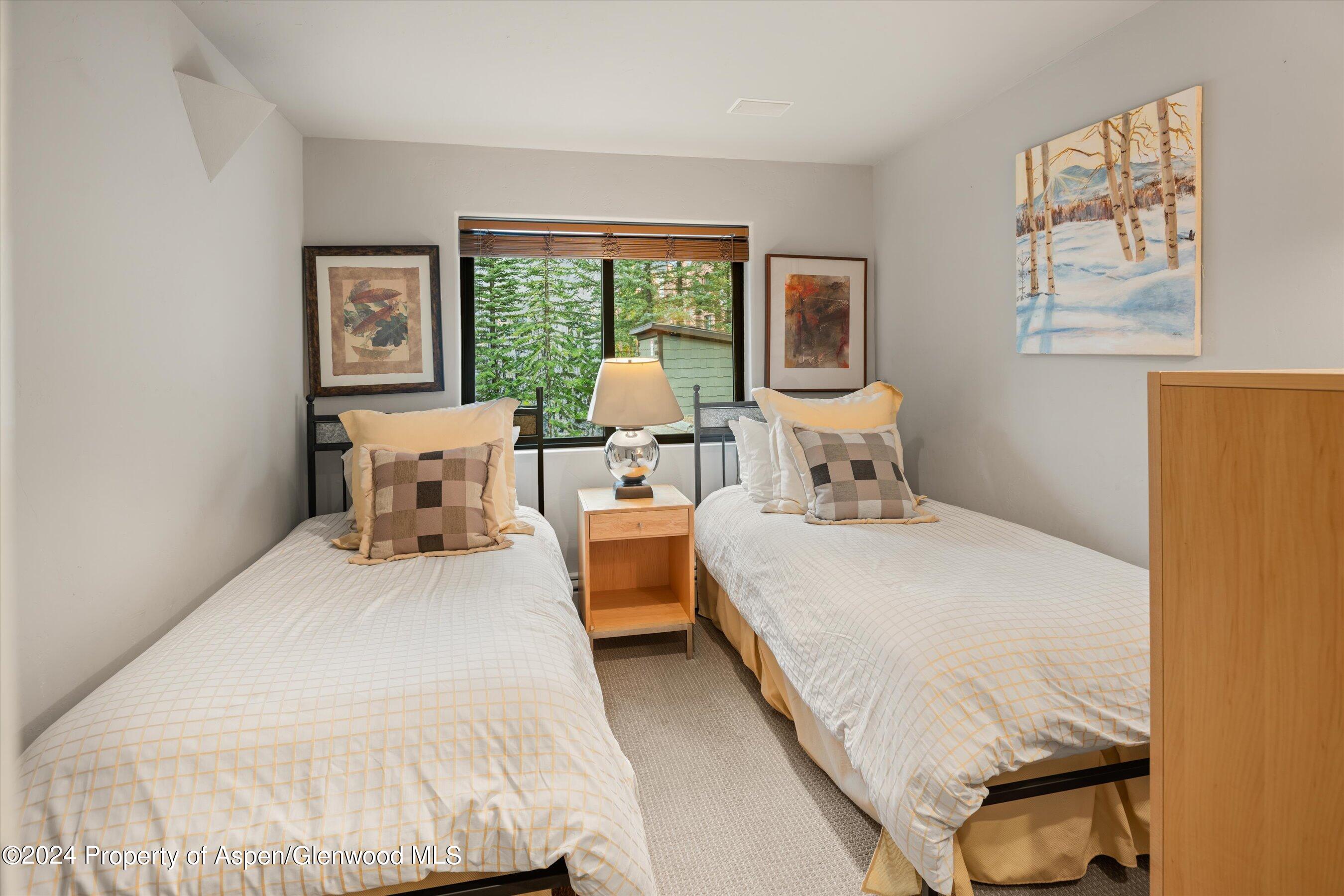 650 S Monarch Street Aspen CO 81611