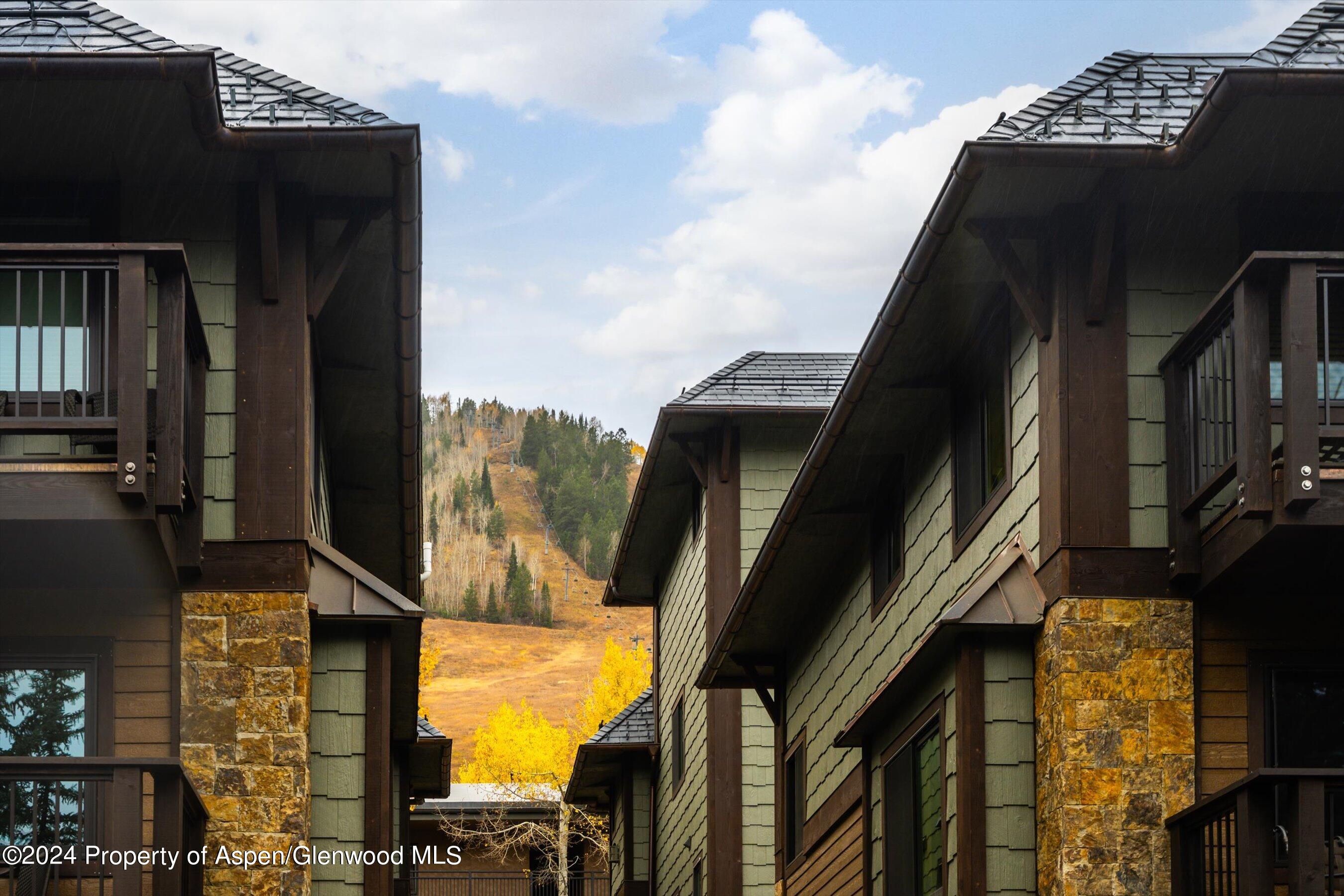 650 S Monarch Street Aspen CO 81611