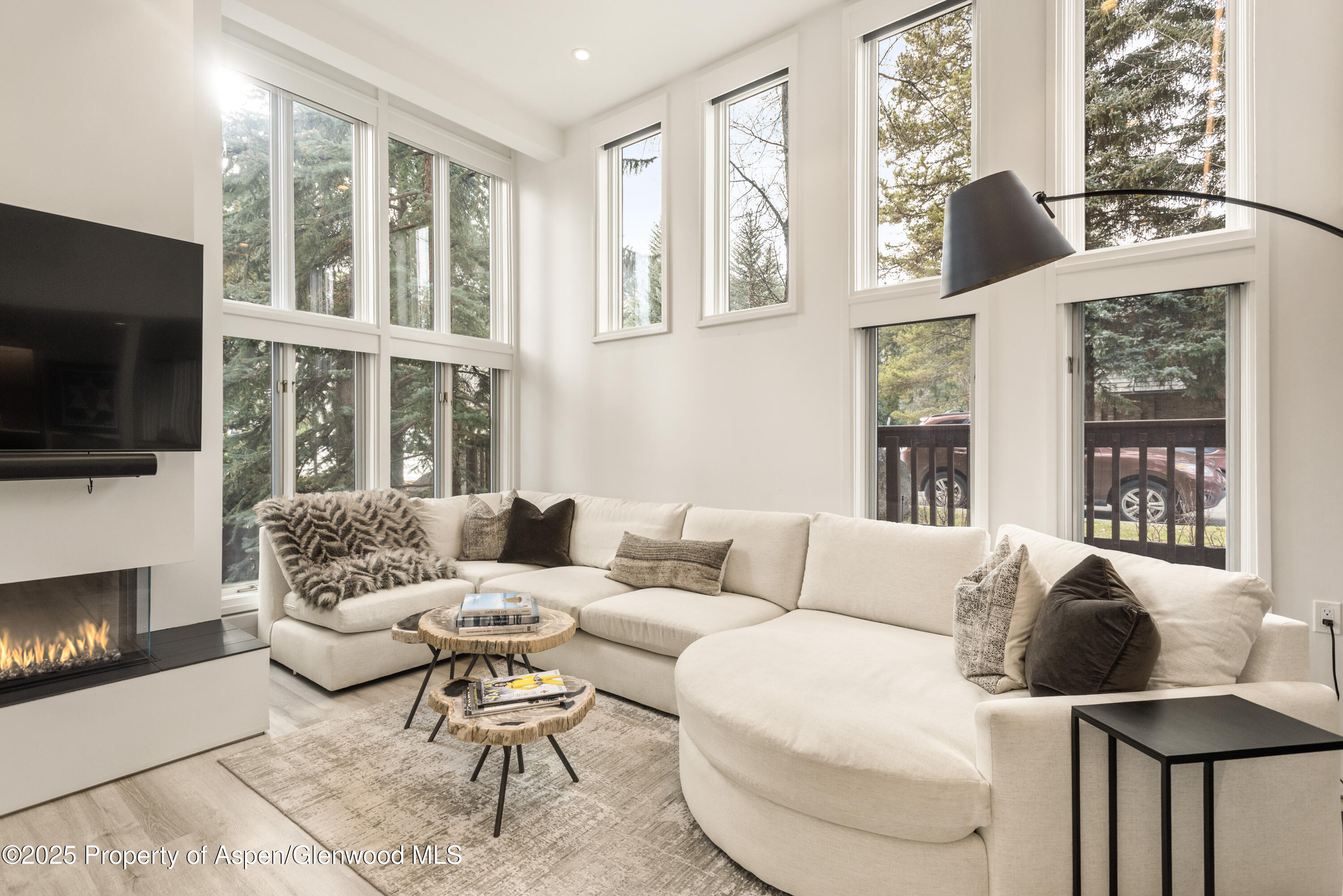 900 E Durant Avenue Aspen CO 81611