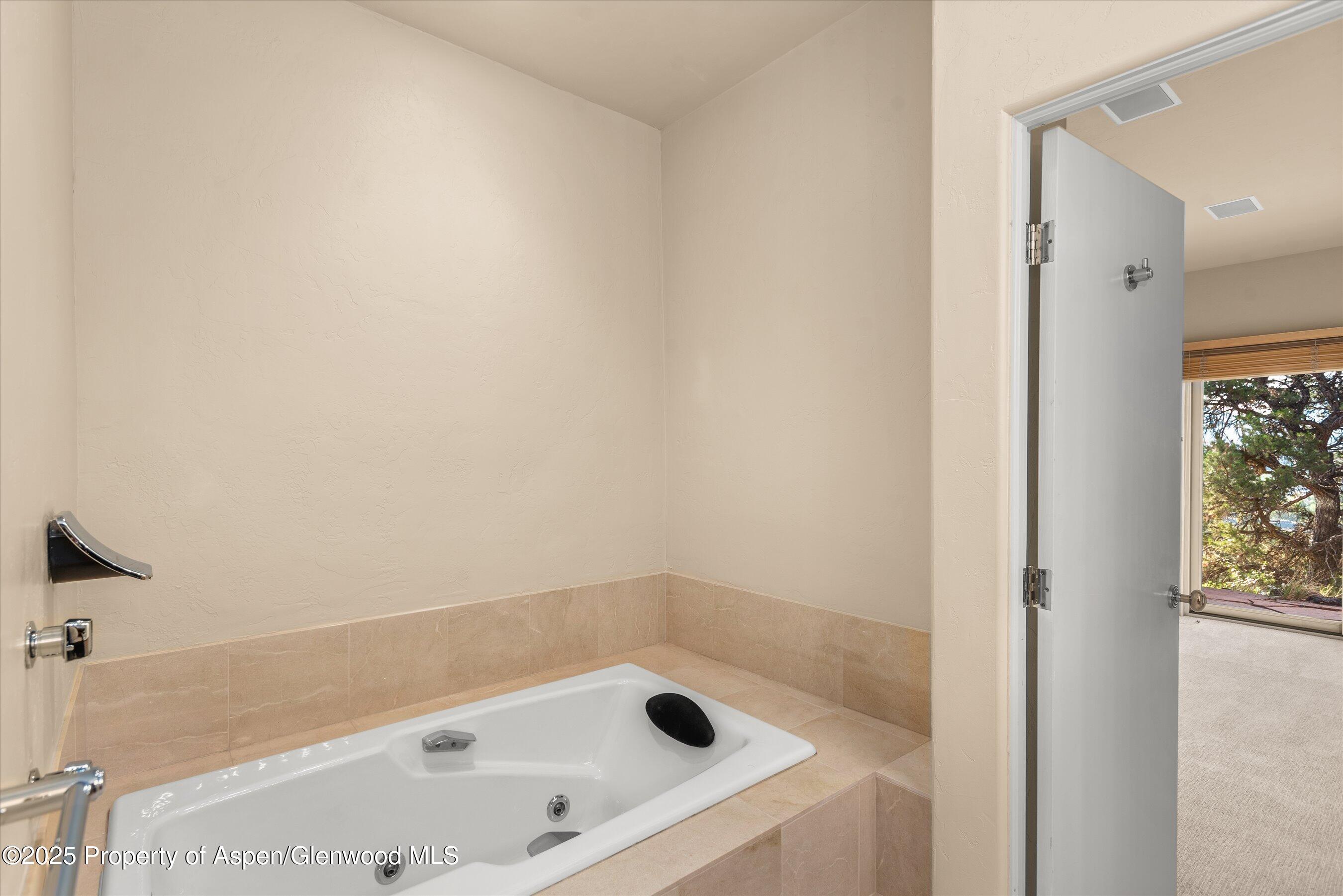 404 Wild Spring Lane Basalt CO 81621