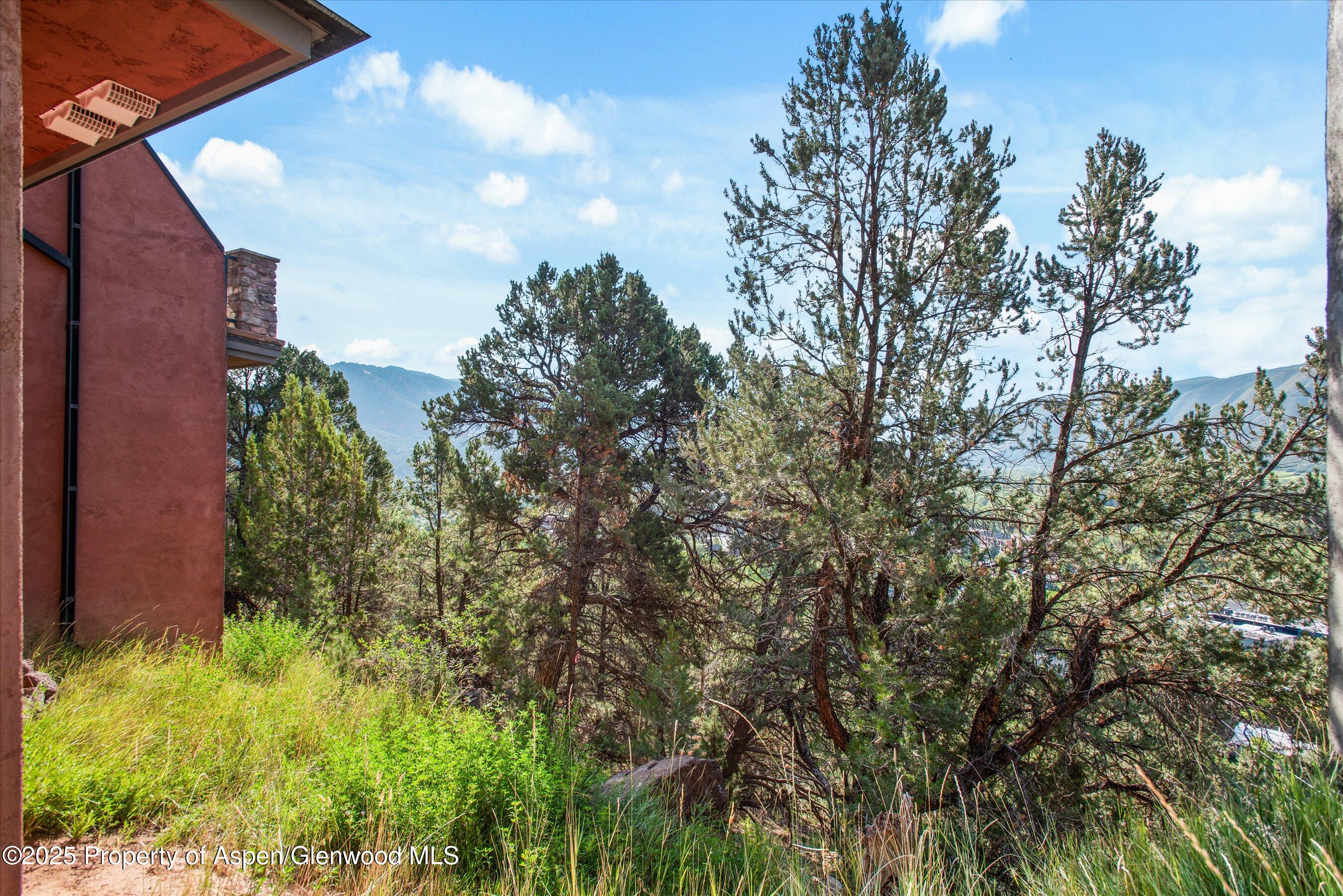 404 Wild Spring Lane Basalt CO 81621