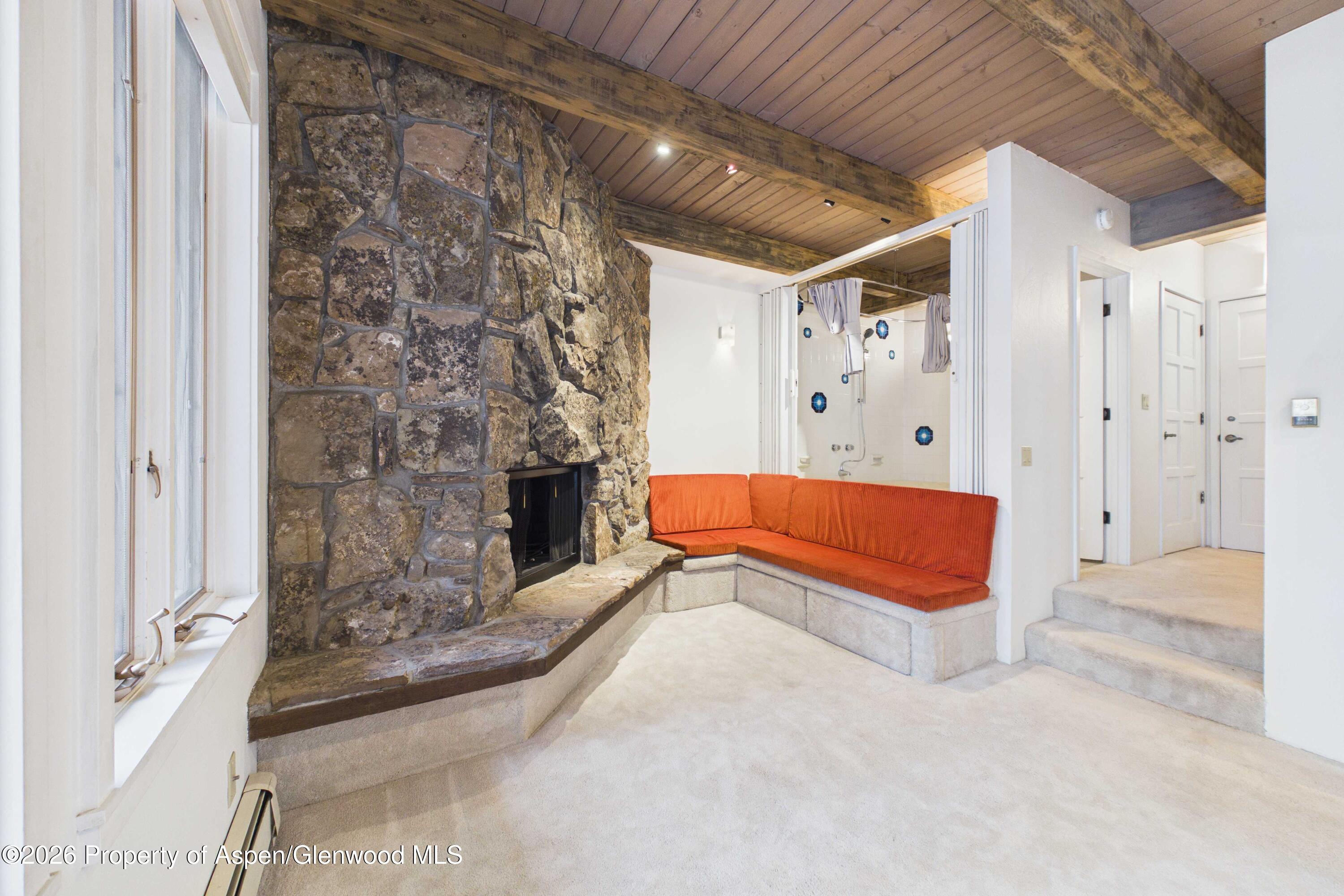 651 S Monarch Street Aspen CO 81611