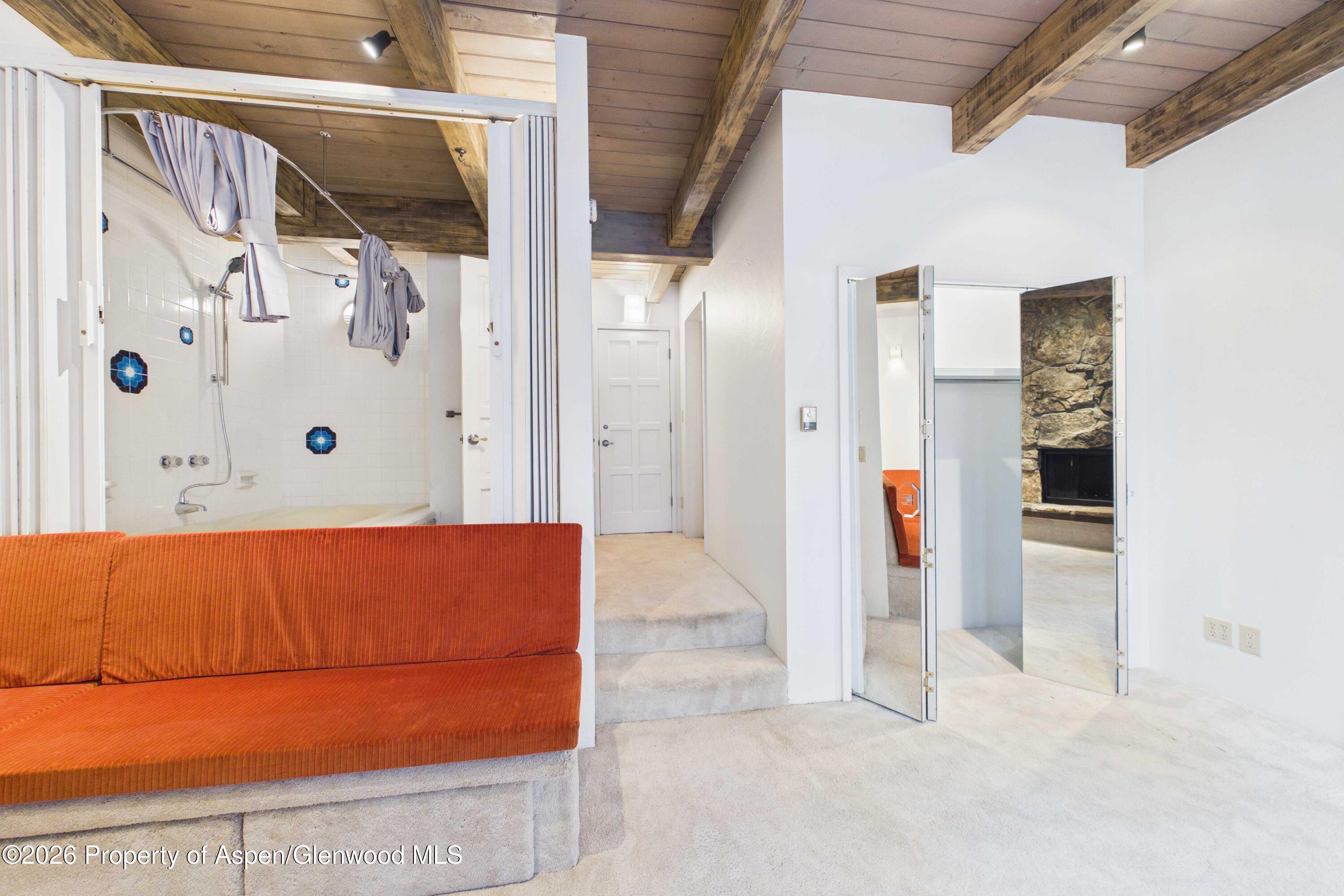 651 S Monarch Street Aspen CO 81611