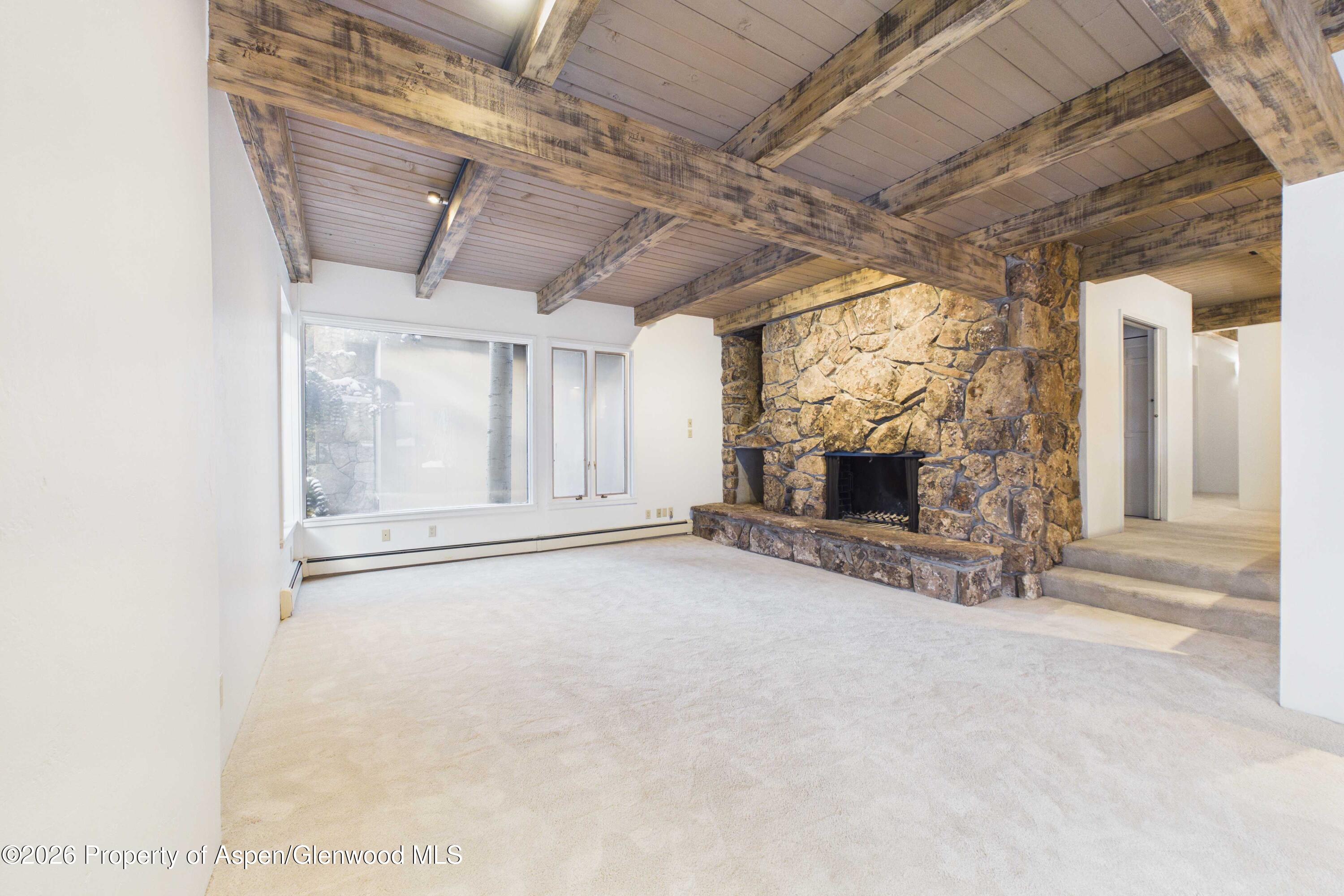 651 S Monarch Street Aspen CO 81611