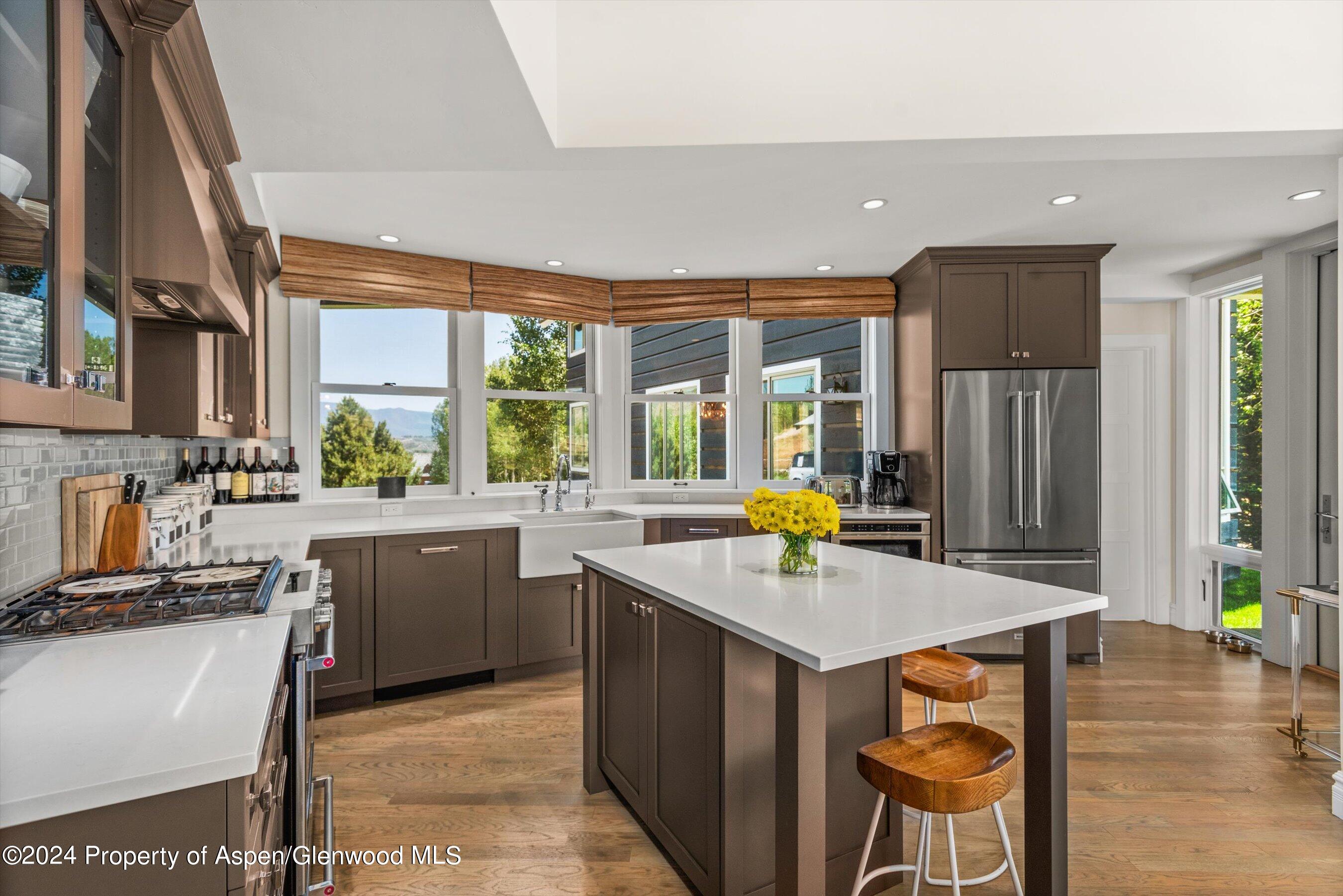 91 Alexander Avenue Snowmass CO 81654