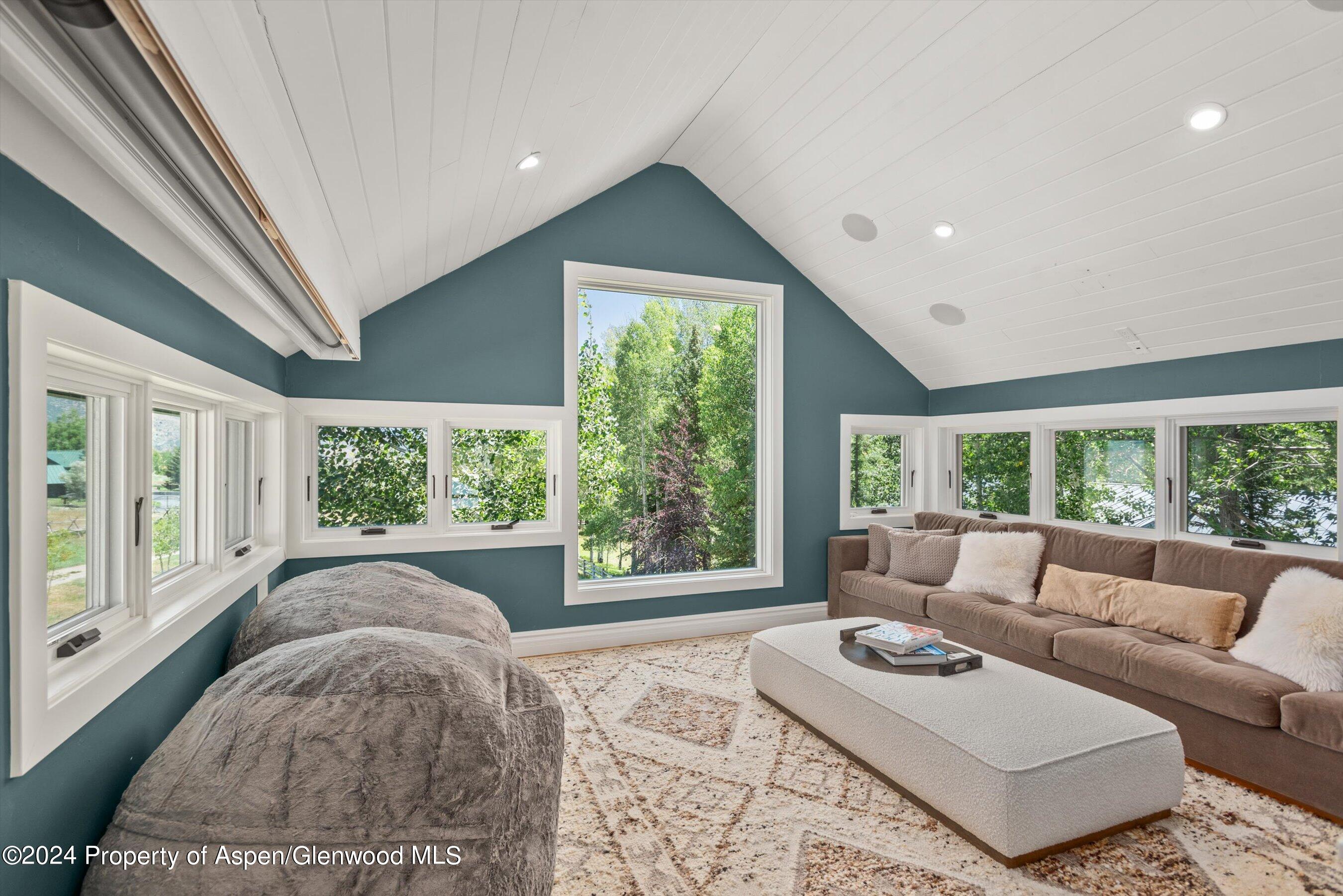 91 Alexander Avenue Snowmass CO 81654