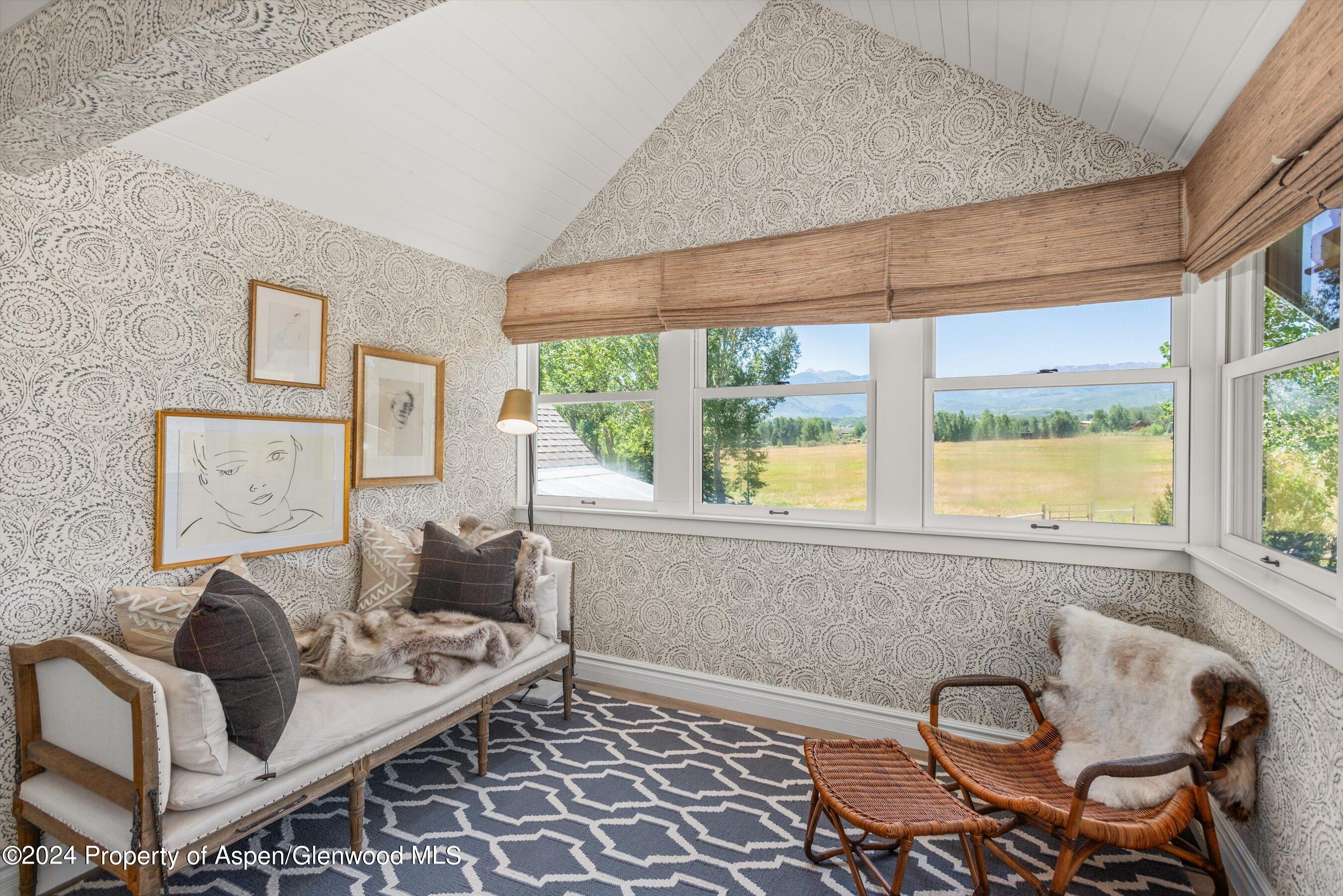 91 Alexander Avenue Snowmass CO 81654