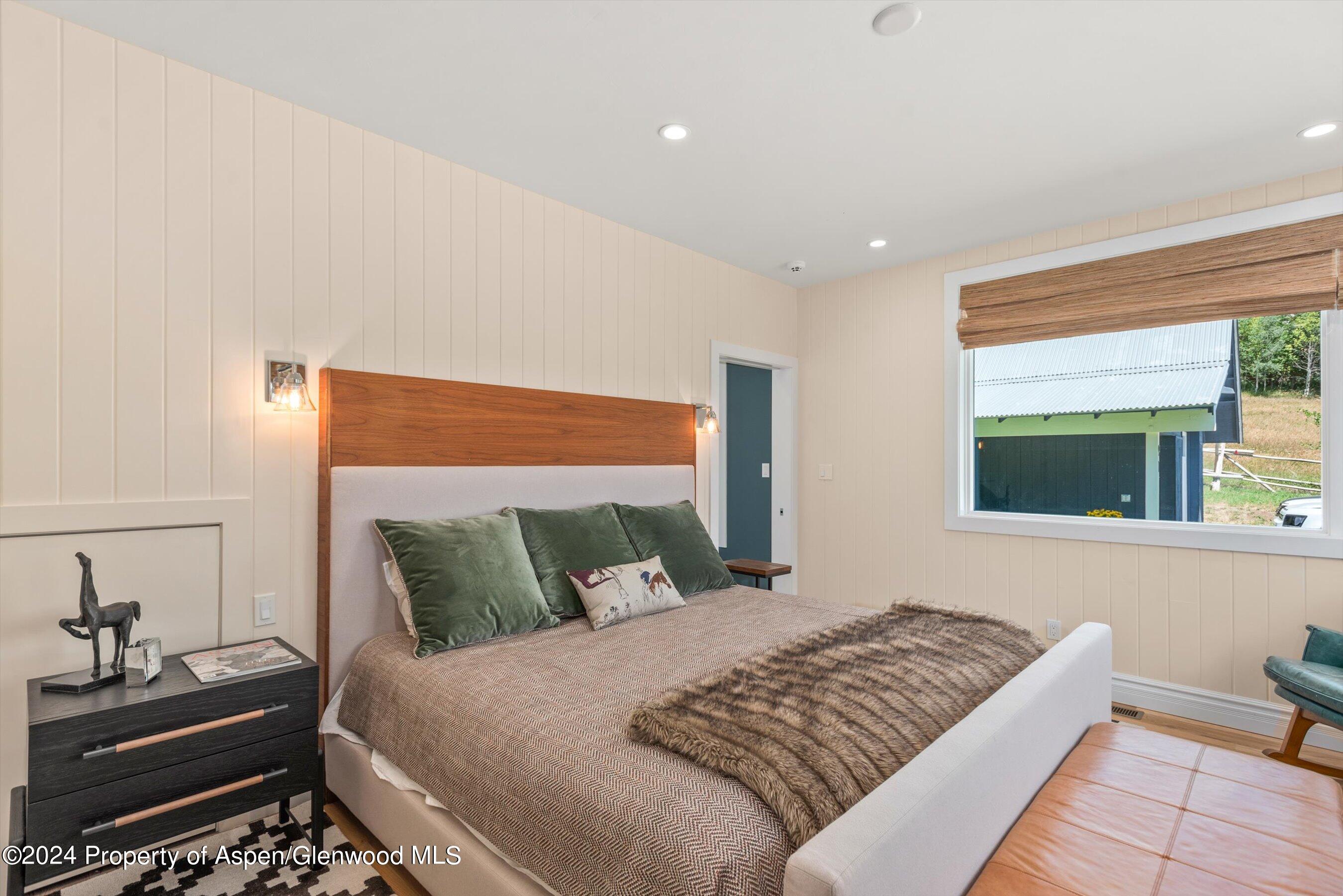 91 Alexander Avenue Snowmass CO 81654