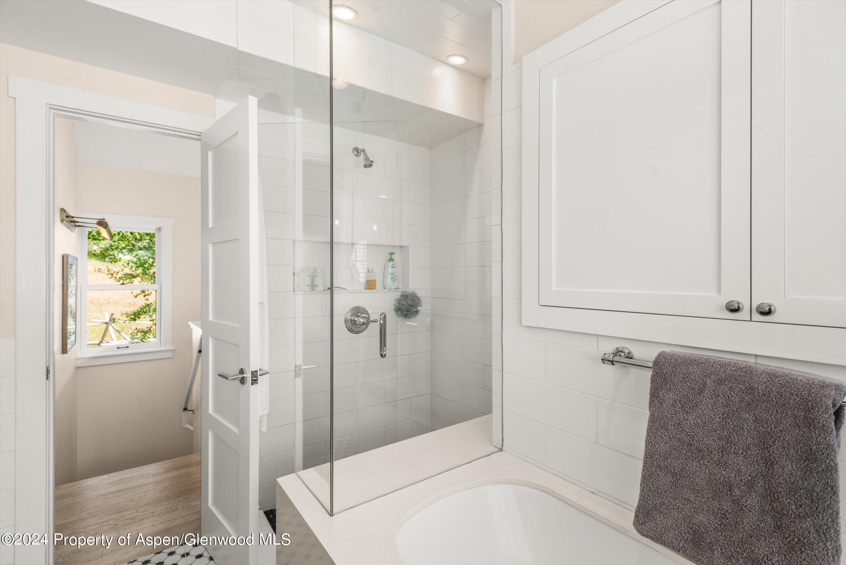 91 Alexander Avenue Snowmass CO 81654