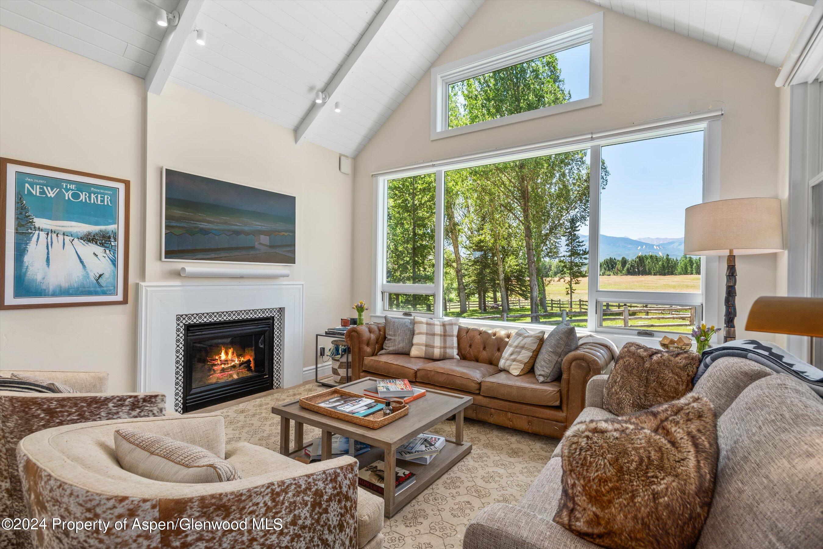 91 Alexander Avenue Snowmass CO 81654