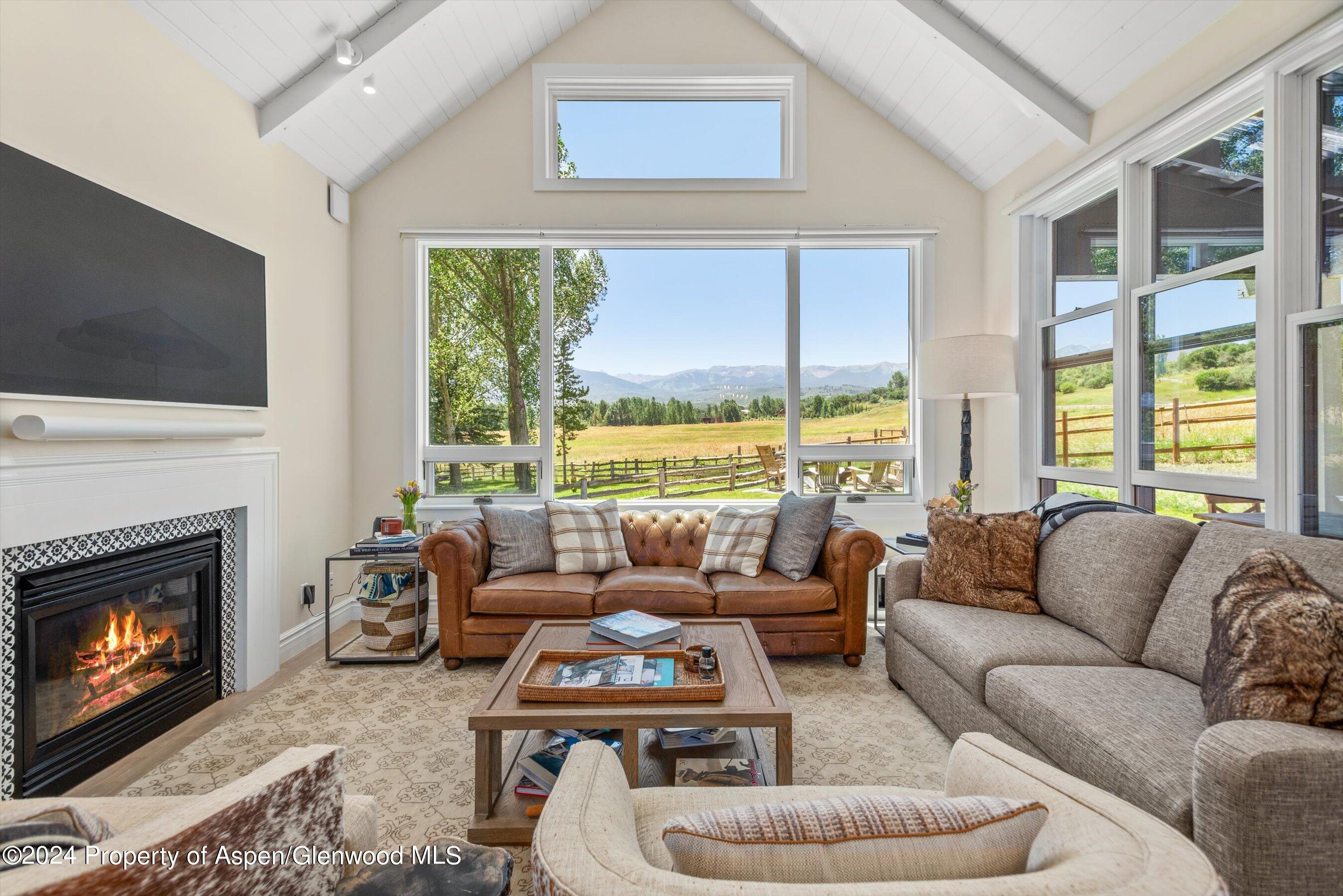 91 Alexander Avenue Snowmass CO 81654