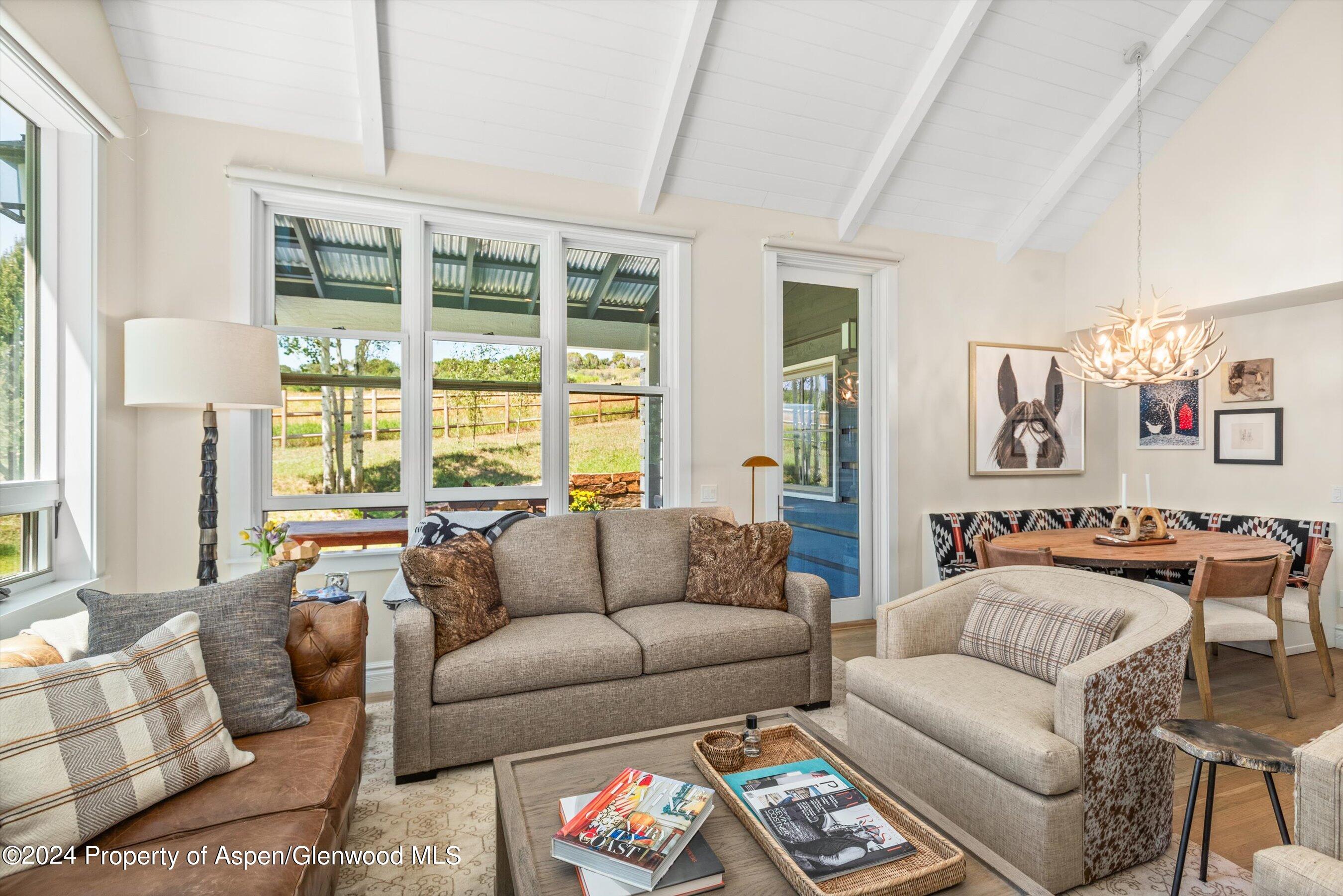 91 Alexander Avenue Snowmass CO 81654