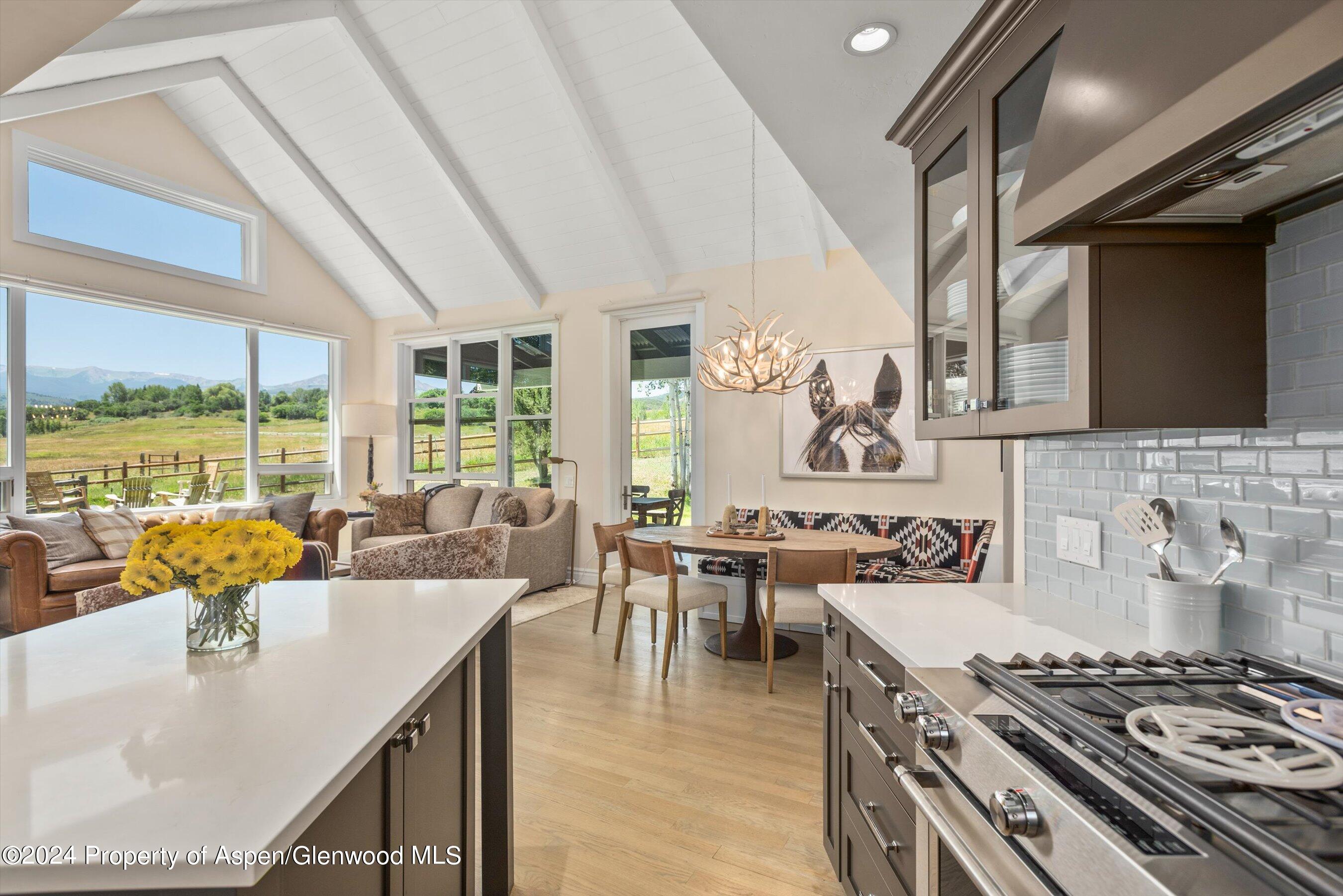 91 Alexander Avenue Snowmass CO 81654