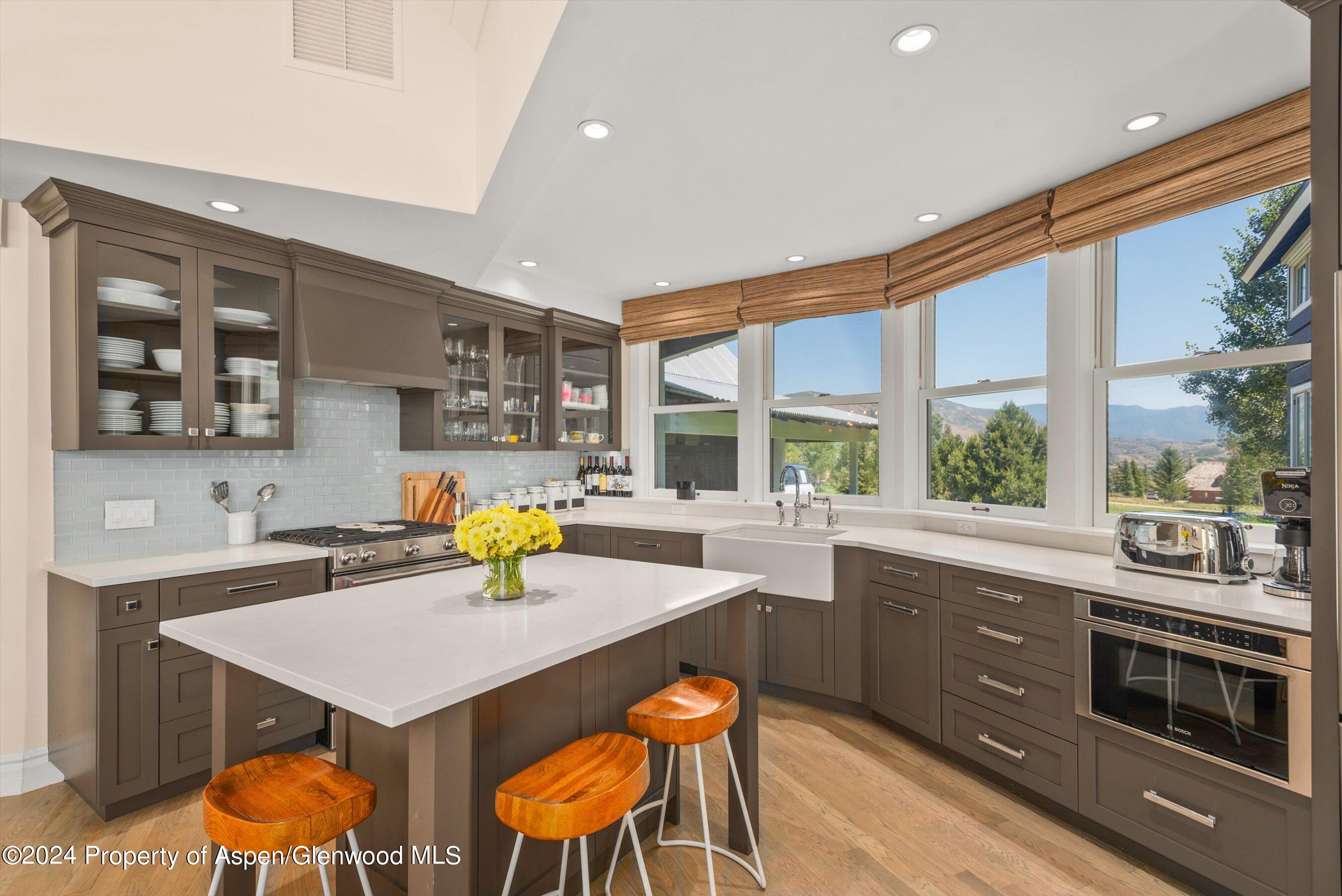 91 Alexander Avenue Snowmass CO 81654