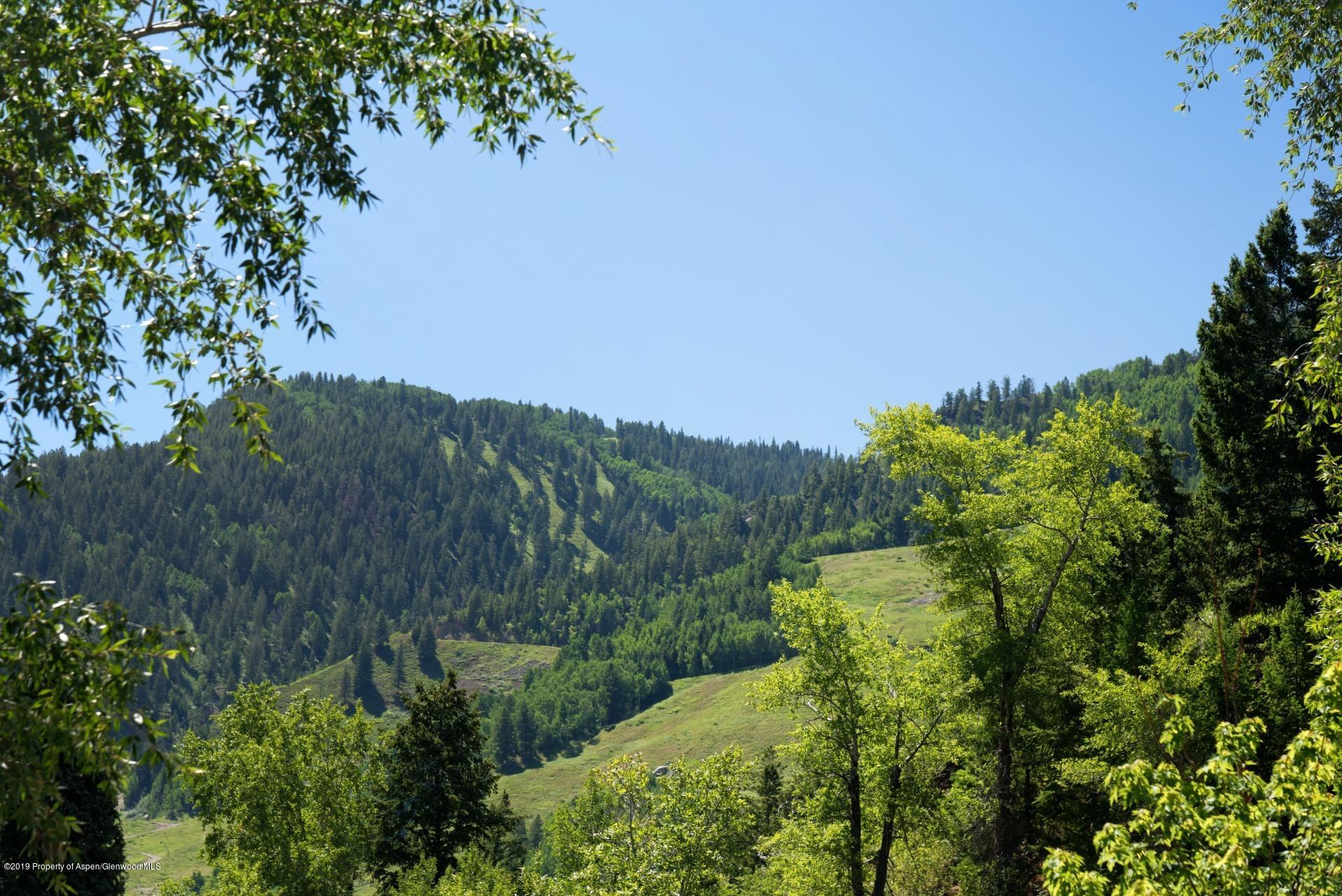 217 S Third Street Aspen CO 81611