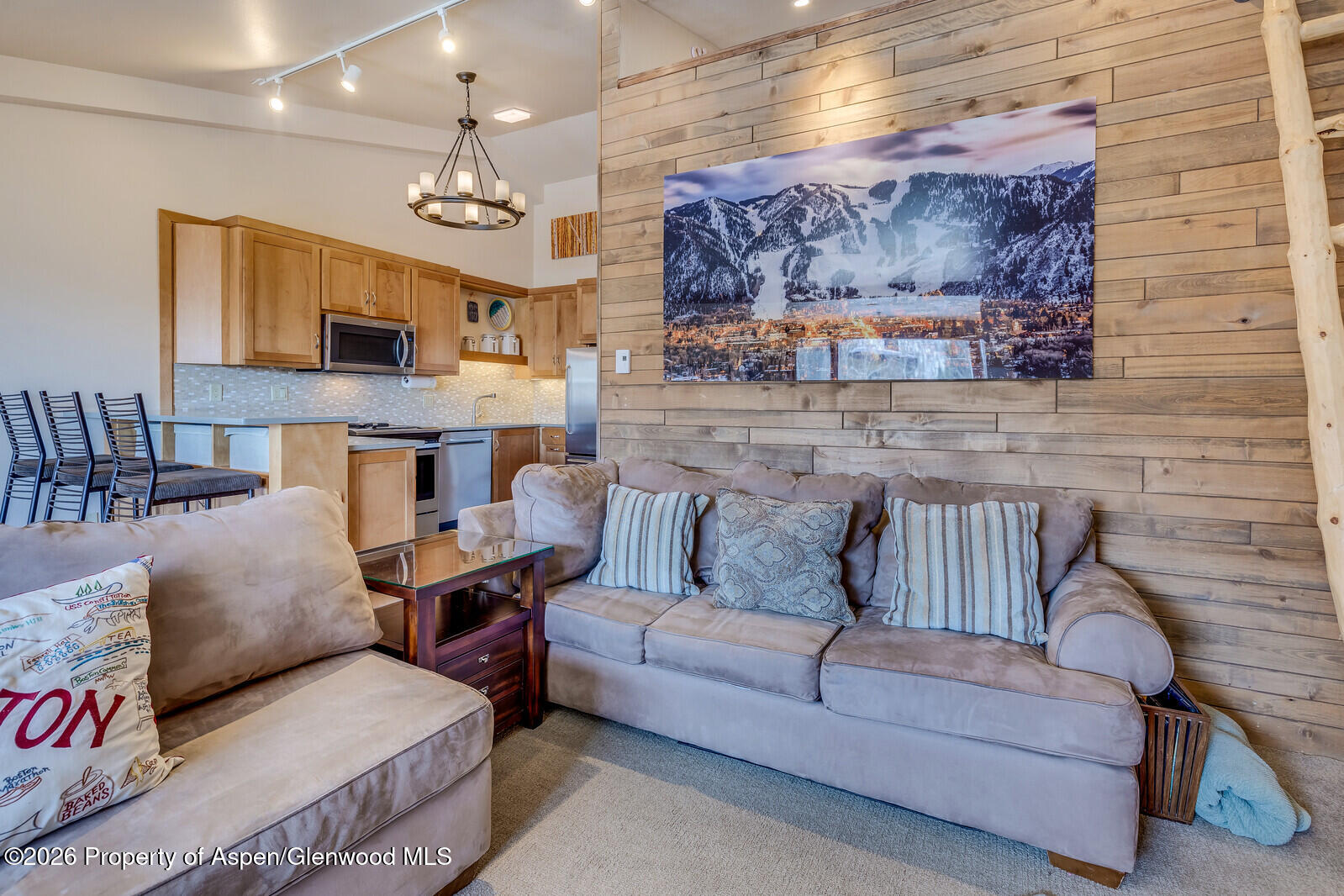 65 Campground Lane Snowmass Village CO 81615