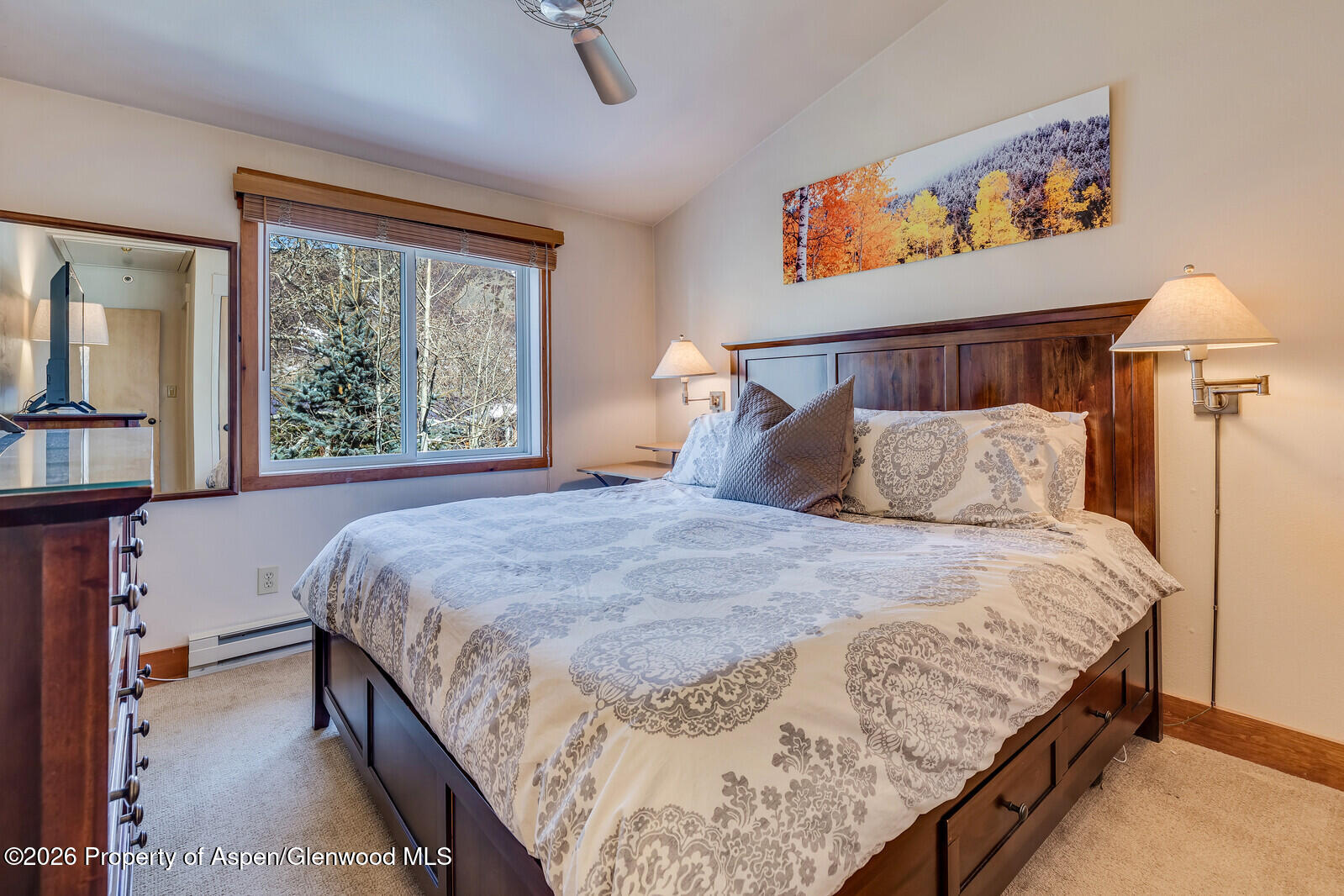 65 Campground Lane Snowmass Village CO 81615