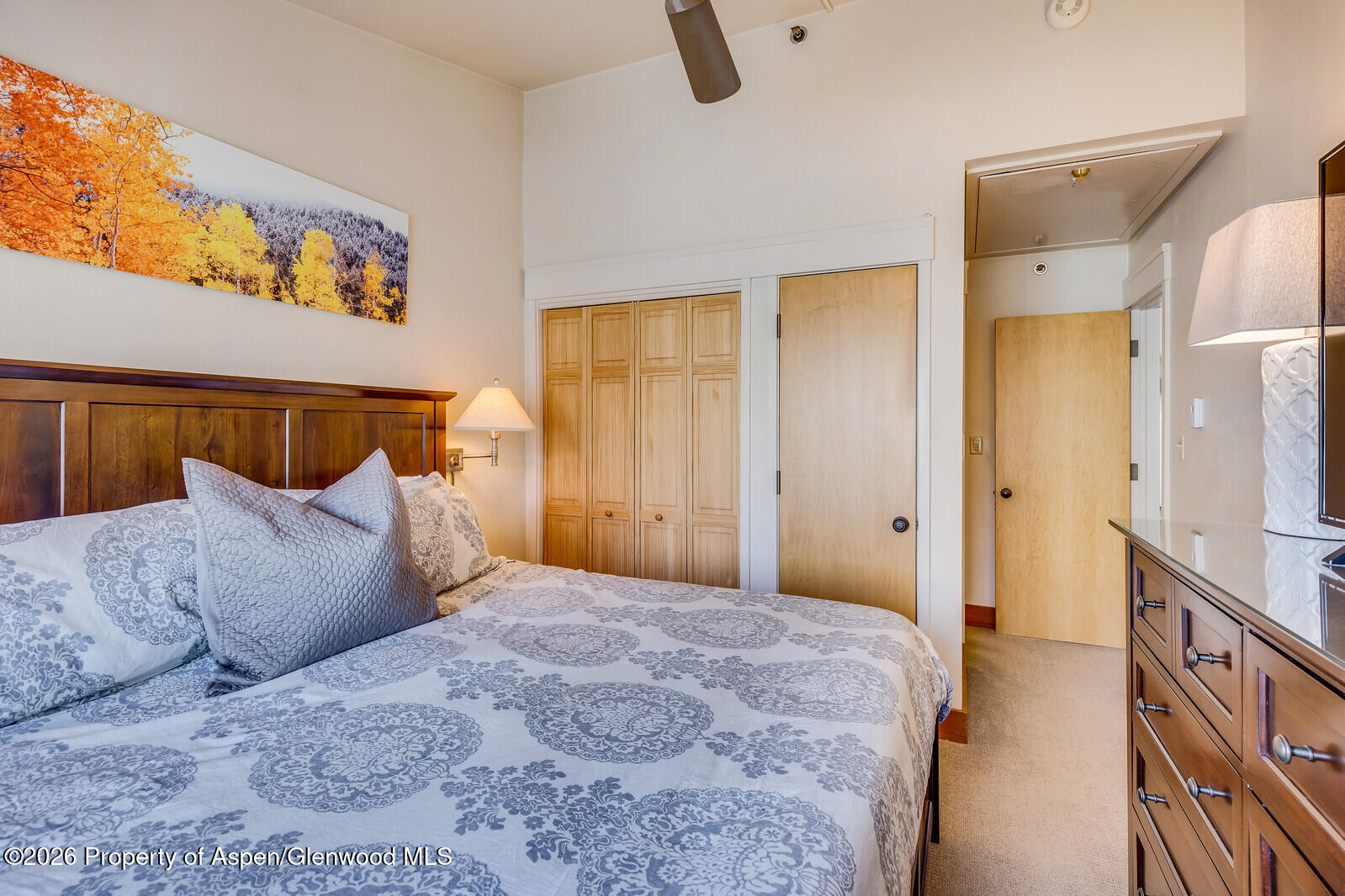 65 Campground Lane Snowmass Village CO 81615