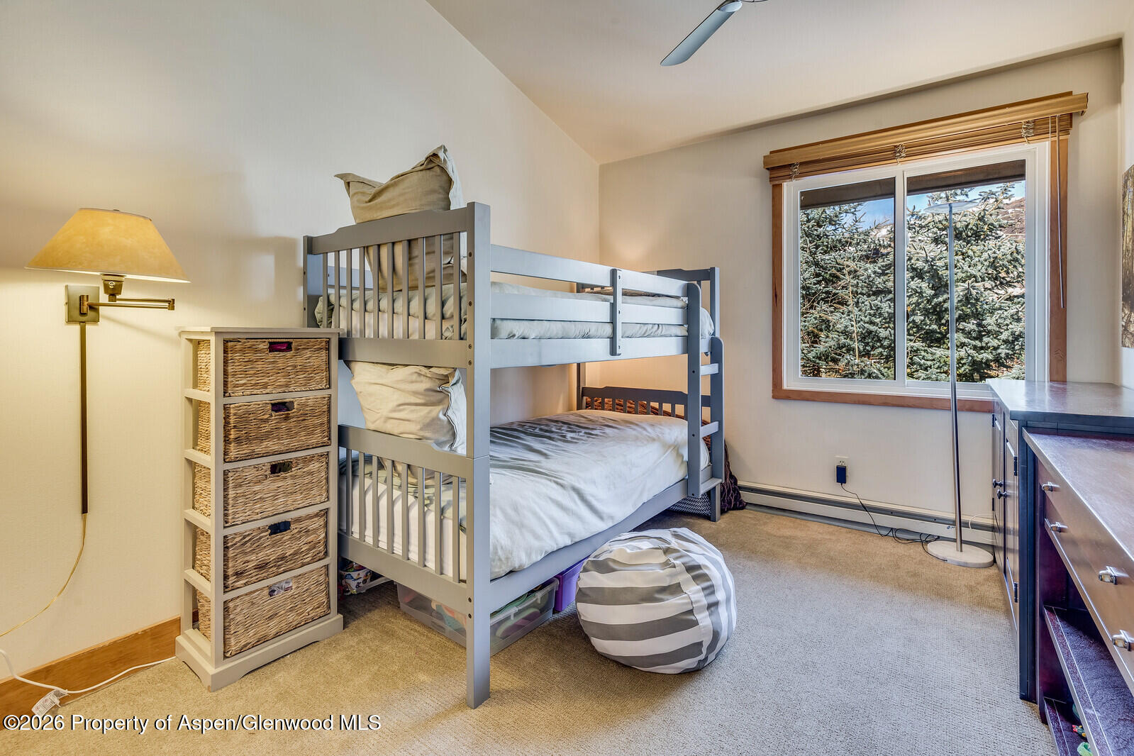 65 Campground Lane Snowmass Village CO 81615