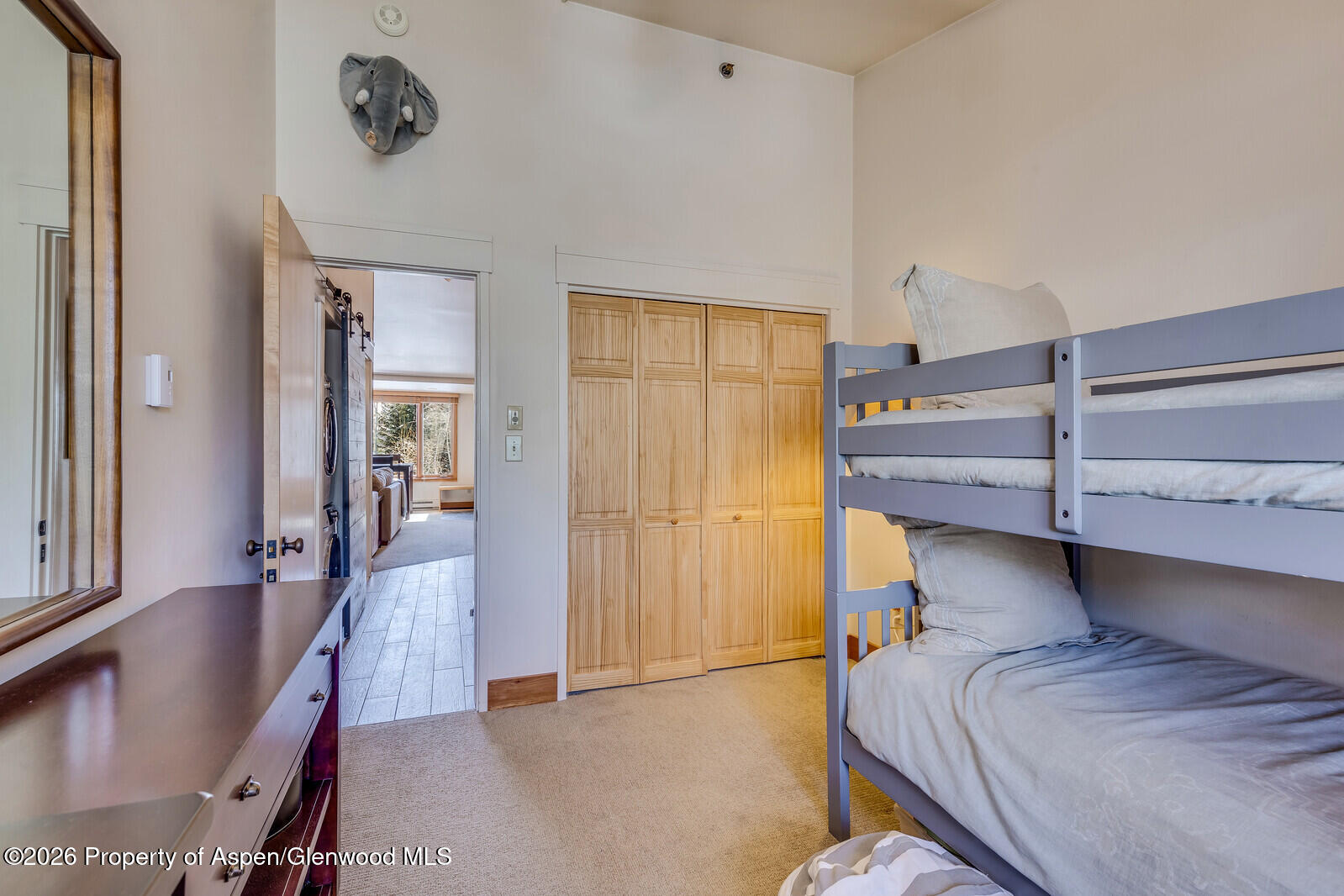 65 Campground Lane Snowmass Village CO 81615