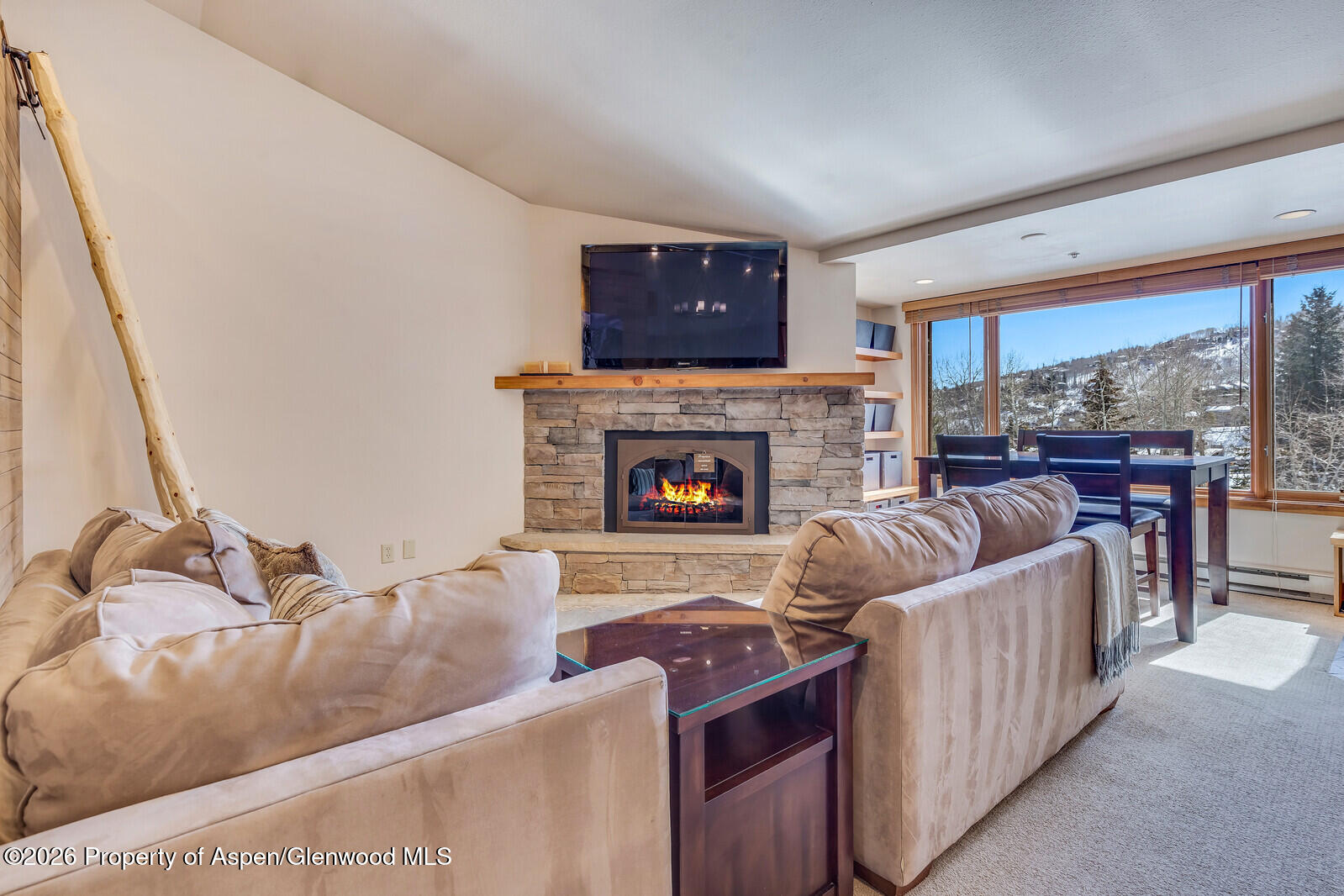 65 Campground Lane Snowmass Village CO 81615